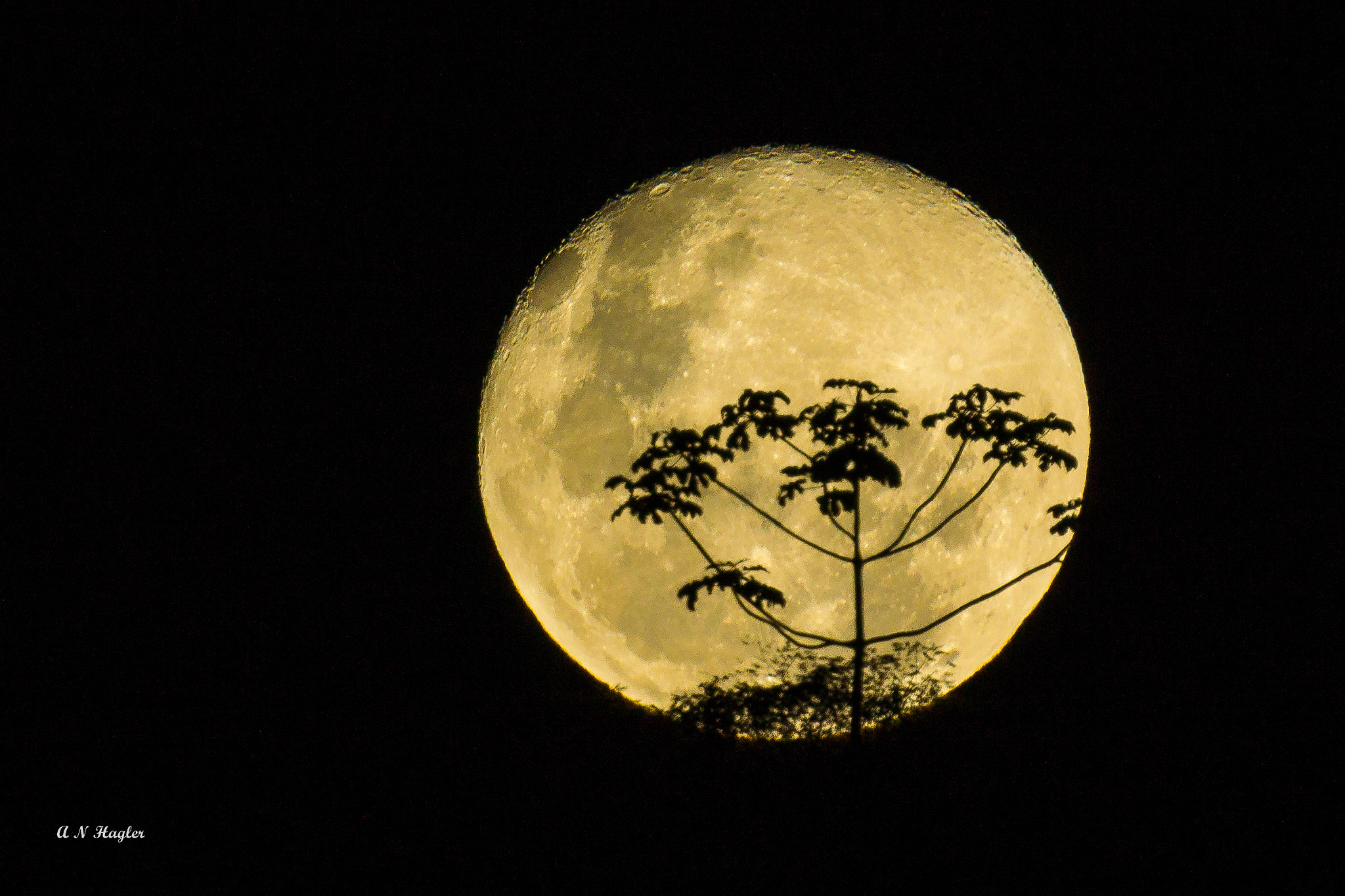 Sony SLT-A77 + Sony 500mm F8 Reflex sample photo. Full moon rise itaipava photography