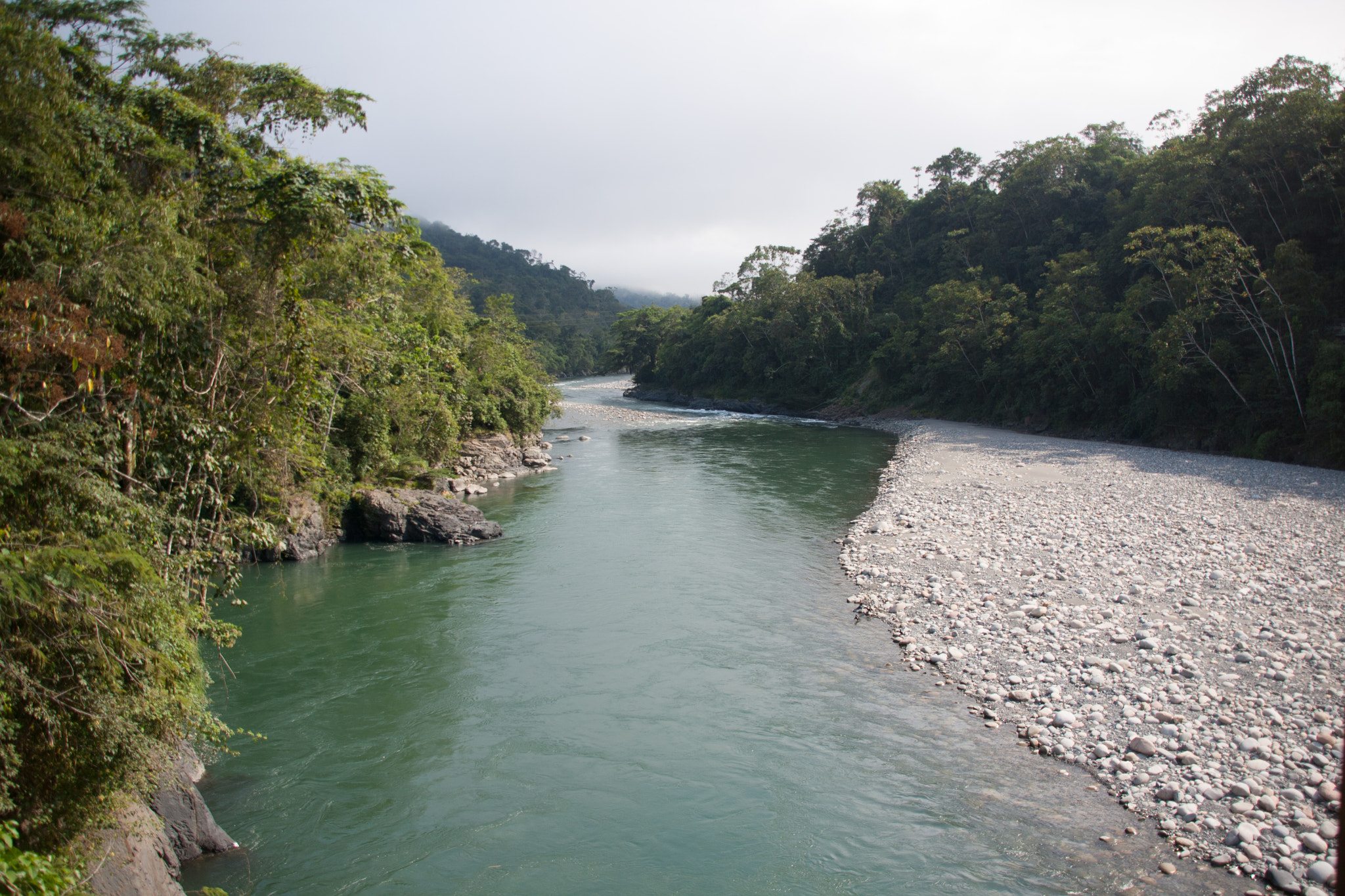 Sigma 18-200mm f/3.5-6.3 DC OS sample photo. Jungle highways photography
