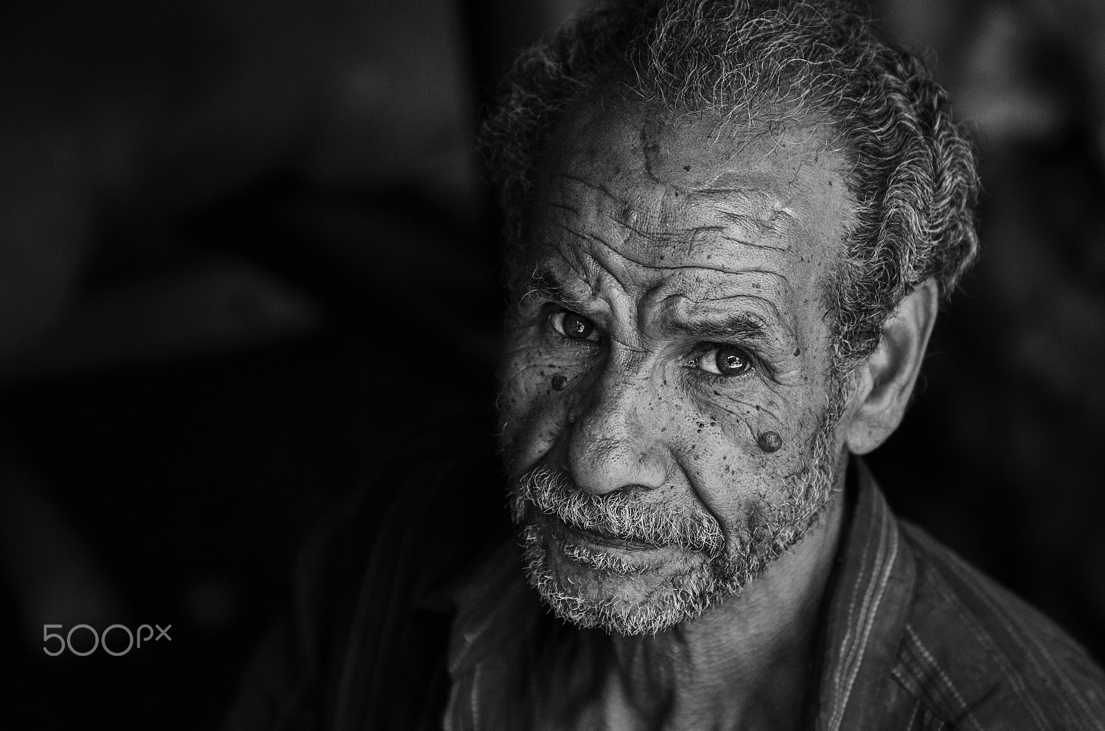 Sigma 70-200mm F2.8 EX DG OS HSM sample photo. The old face. photography