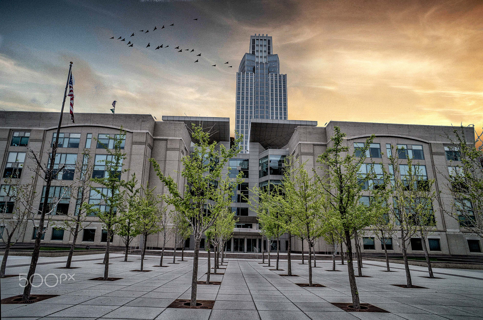 Sony Alpha NEX-3N + Sony E 16mm F2.8 sample photo. Us district court house photography