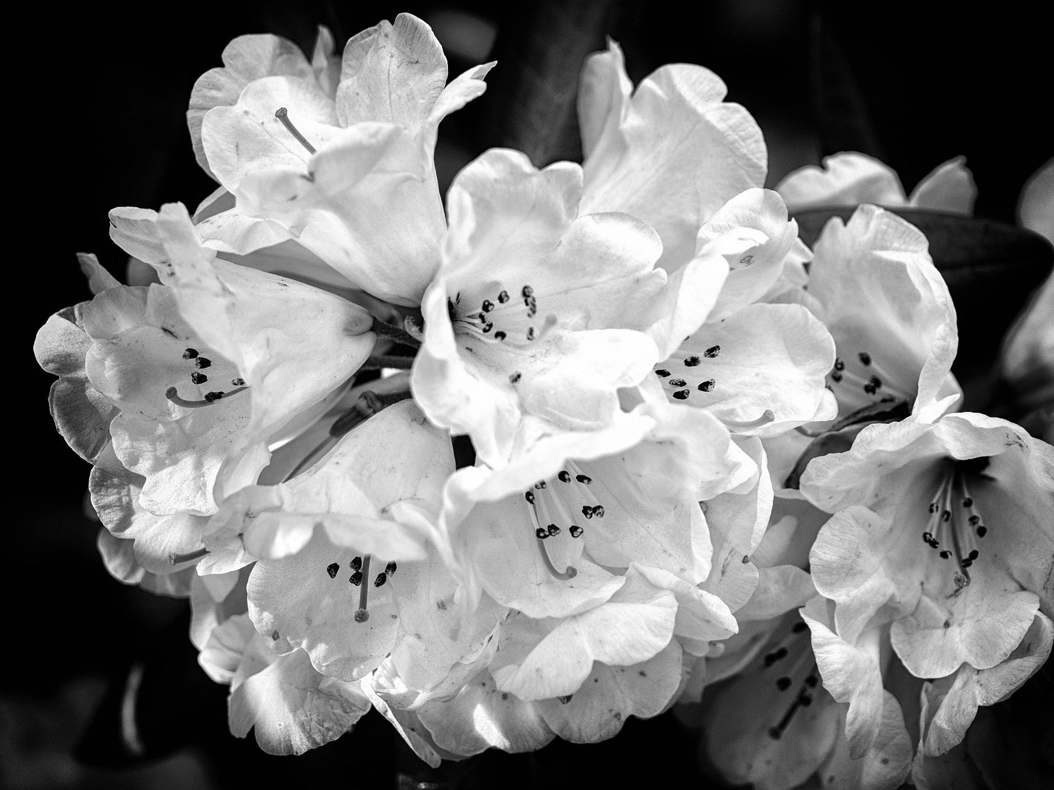 Panasonic Lumix DMC-G5 sample photo. -1604_erbg017017-edit.jpg photography