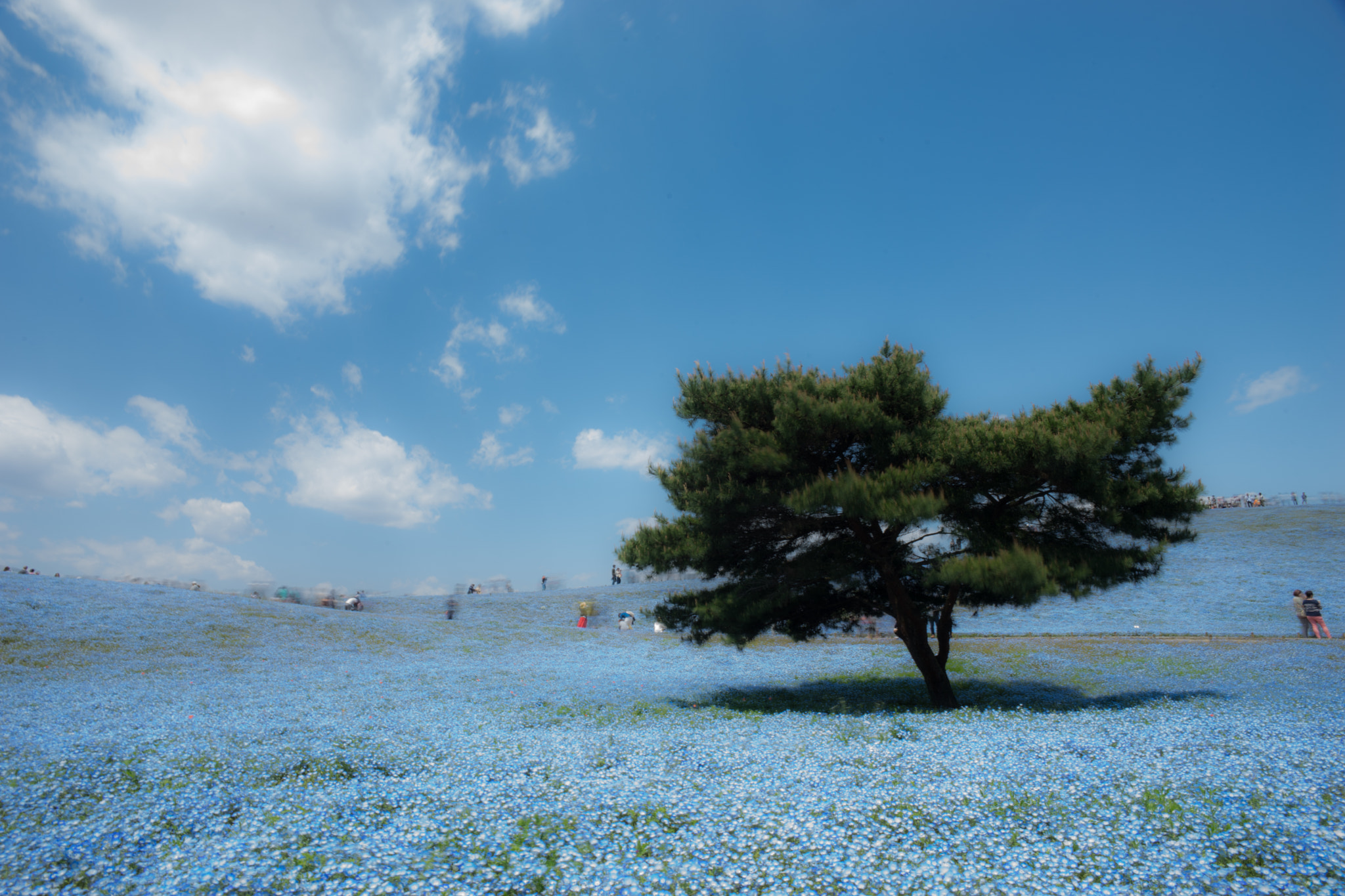 Sony a7 II + Sony 20mm F2.8 sample photo. Perfect blue photography
