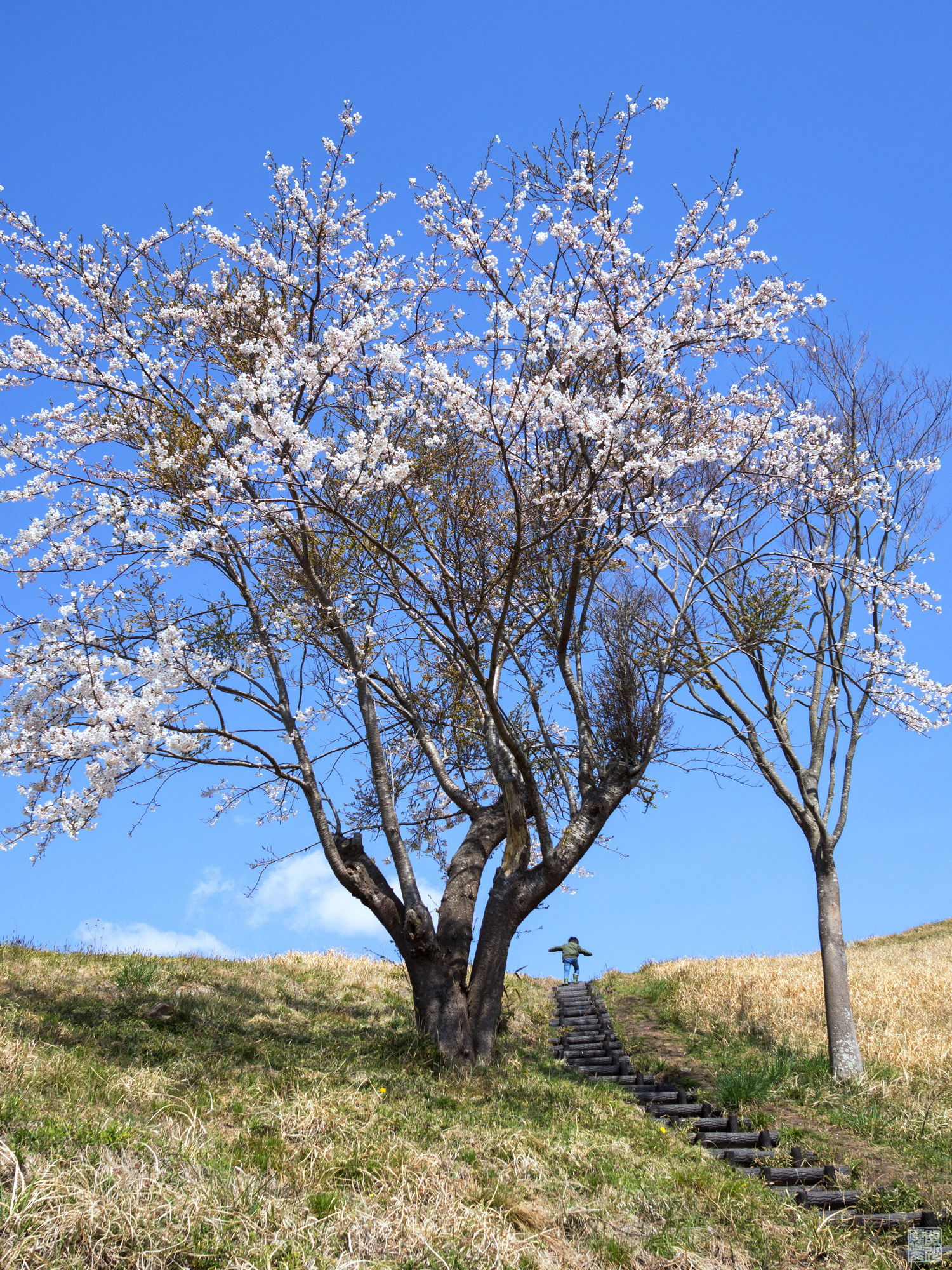 Sigma 19mm F2.8 EX DN sample photo. Over the hills and far away photography