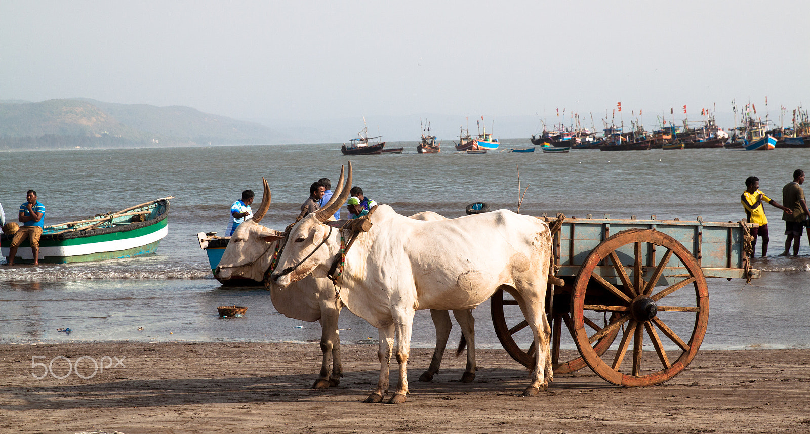 Canon EF 24-70mm F2.8L II USM sample photo. Beach logistics photography