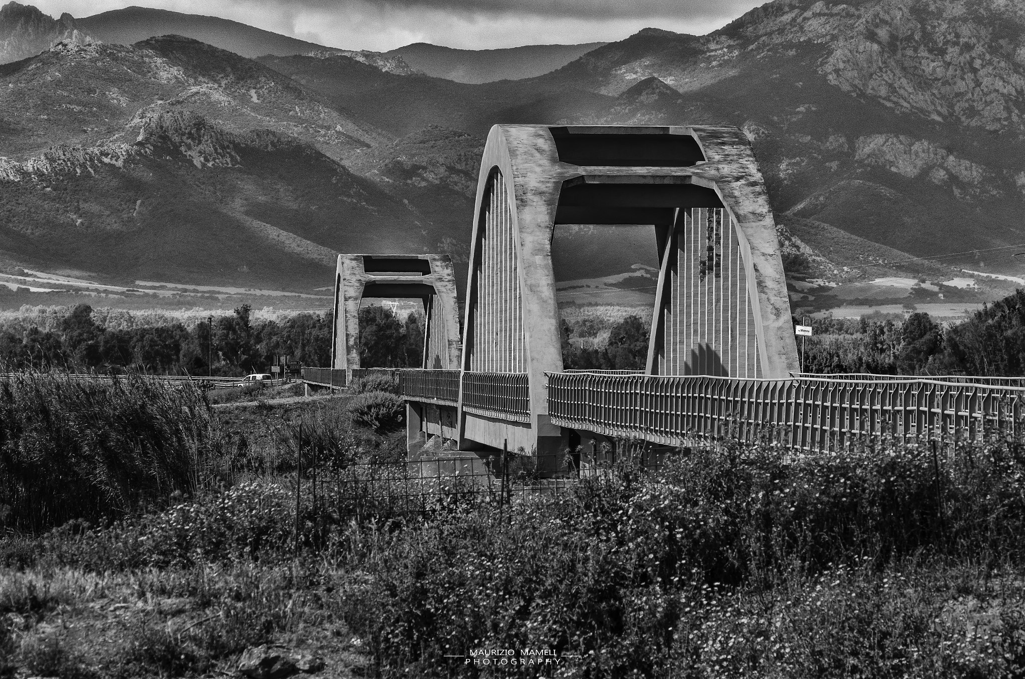 Sigma 150-500mm F5-6.3 DG OS HSM sample photo. Bridge photography