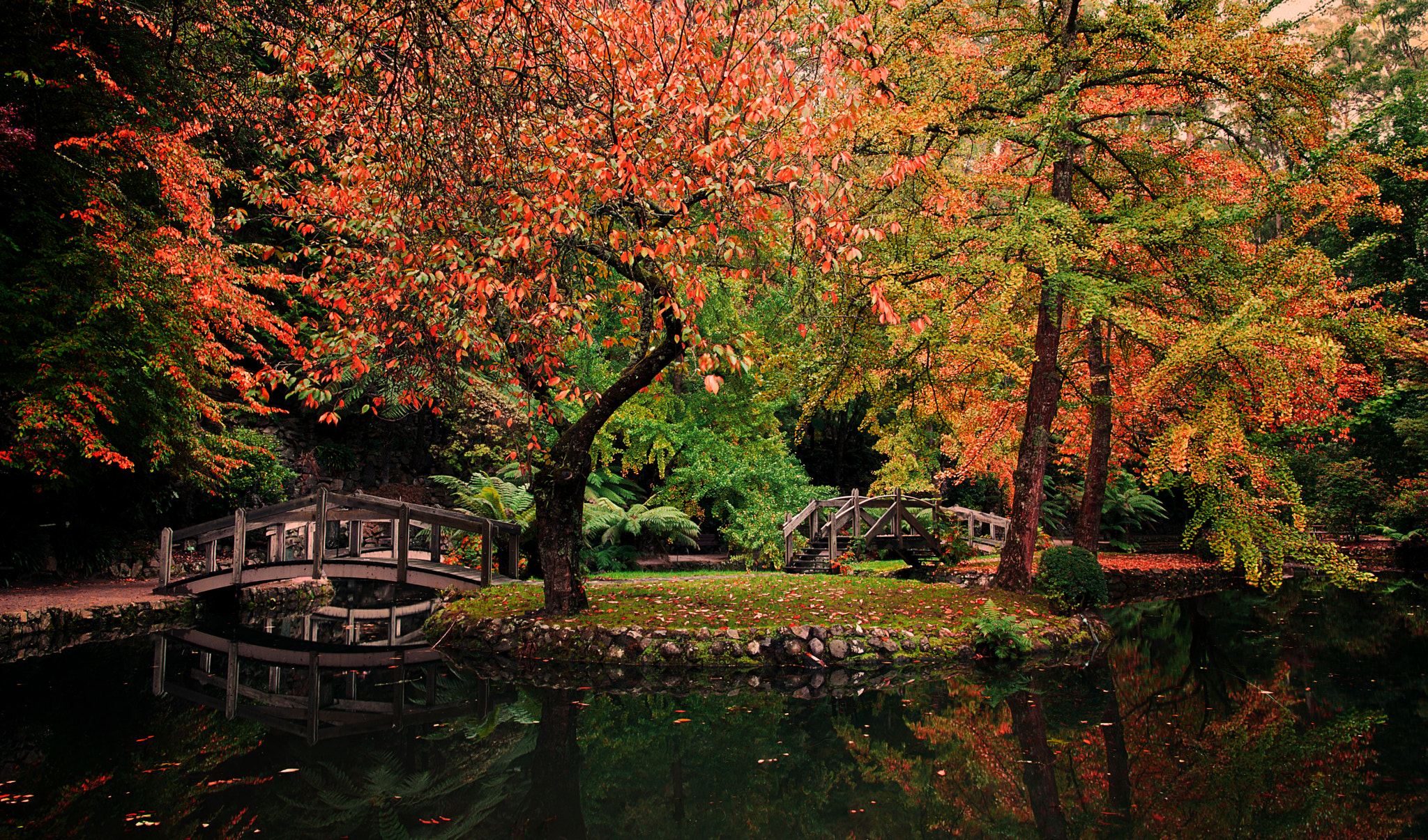 ZEISS Touit 12mm F2.8 sample photo. Autumn #01 photography