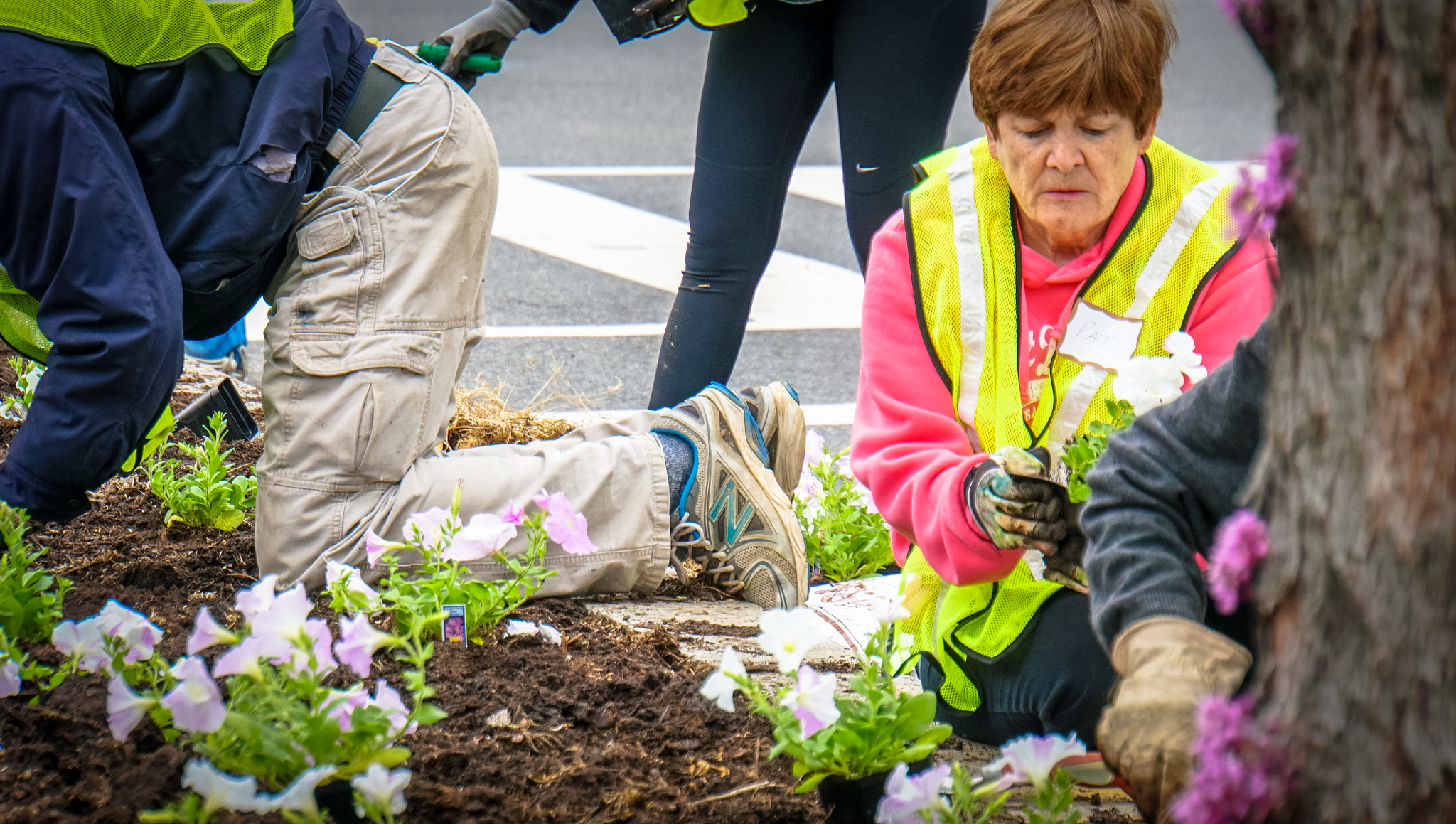 Sony a6300 + Sony E 18-200mm F3.5-6.3 OSS sample photo. 2016.04.30 vermont avenue garden work party washington dc usa  04523 photography