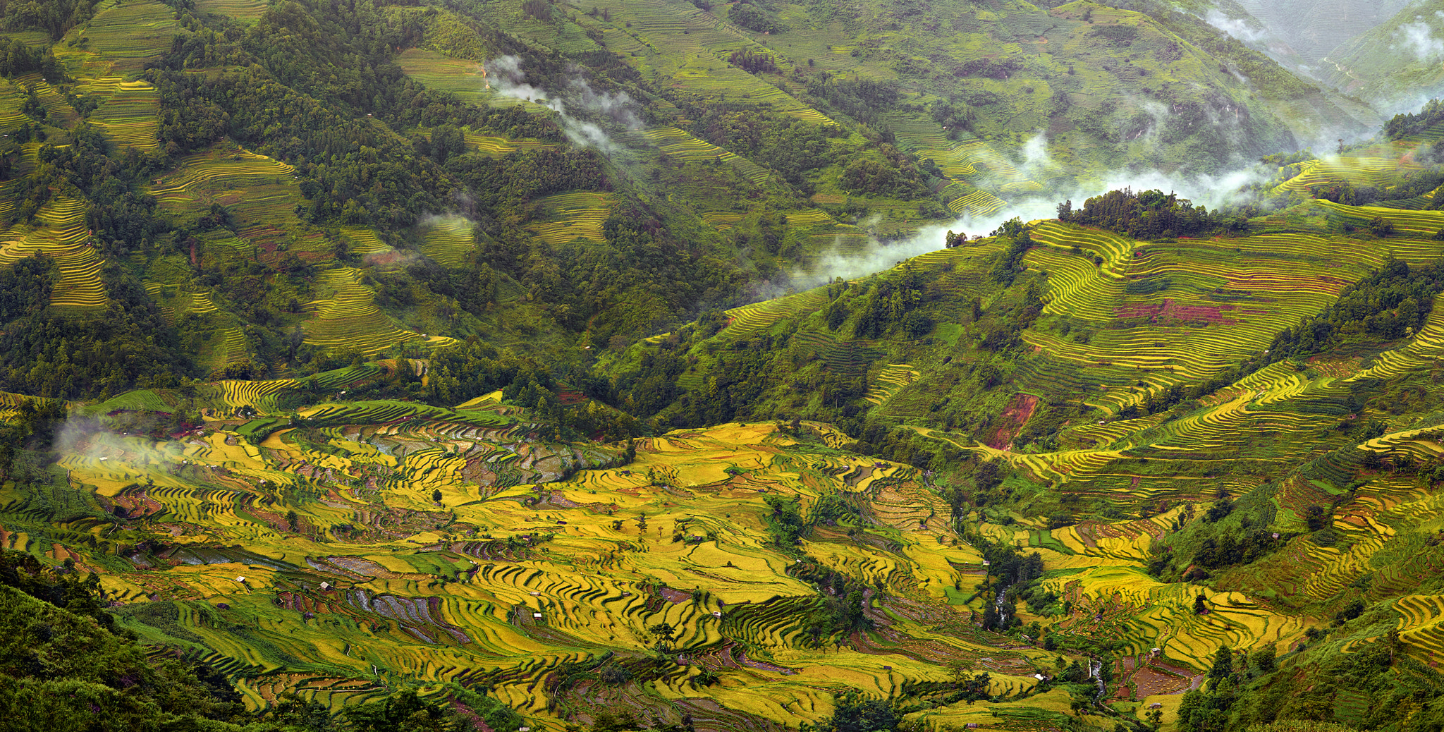 Schneider LS 110mm f/2.8 sample photo. Yellow canvas  of terraces photography