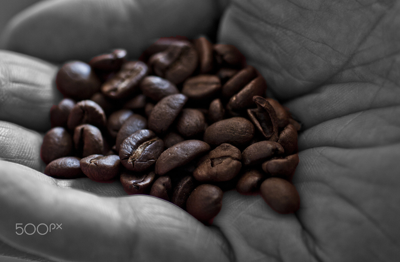 Pentax K20D + smc PENTAX-F MACRO 50mm F2.8 sample photo. Coffee beans photography