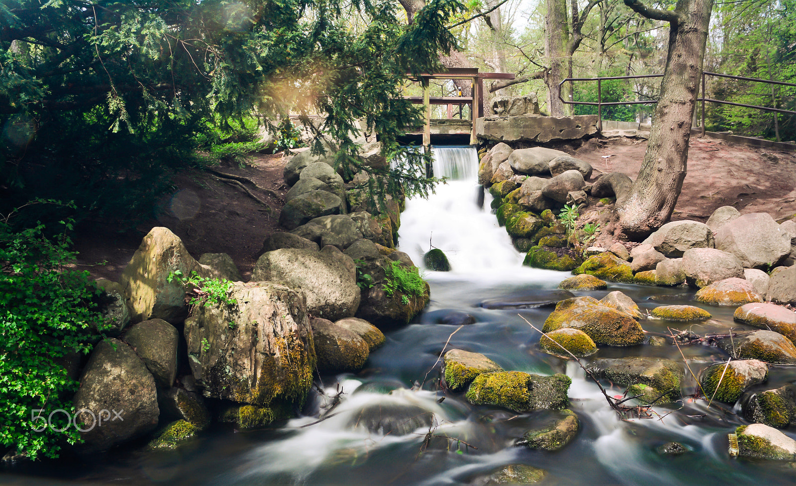 Nikon D5200 + Sigma 17-70mm F2.8-4 DC Macro OS HSM | C sample photo. Poland gdańsk - oliwa park photography