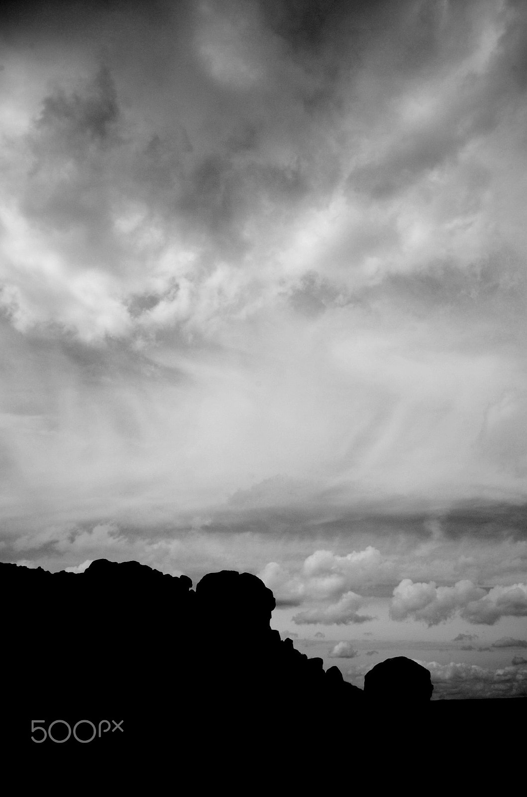 Nikon D2H sample photo. Cow & calf photography