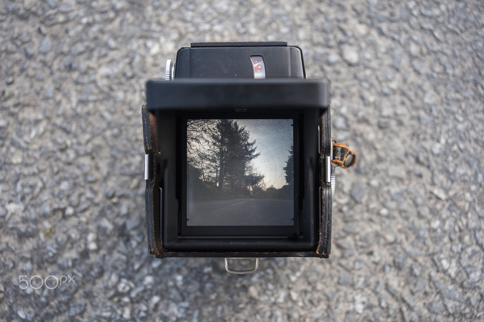 AF Zoom-Nikkor 28-80mm f/3.3-5.6G sample photo. Ricoh 66 photography
