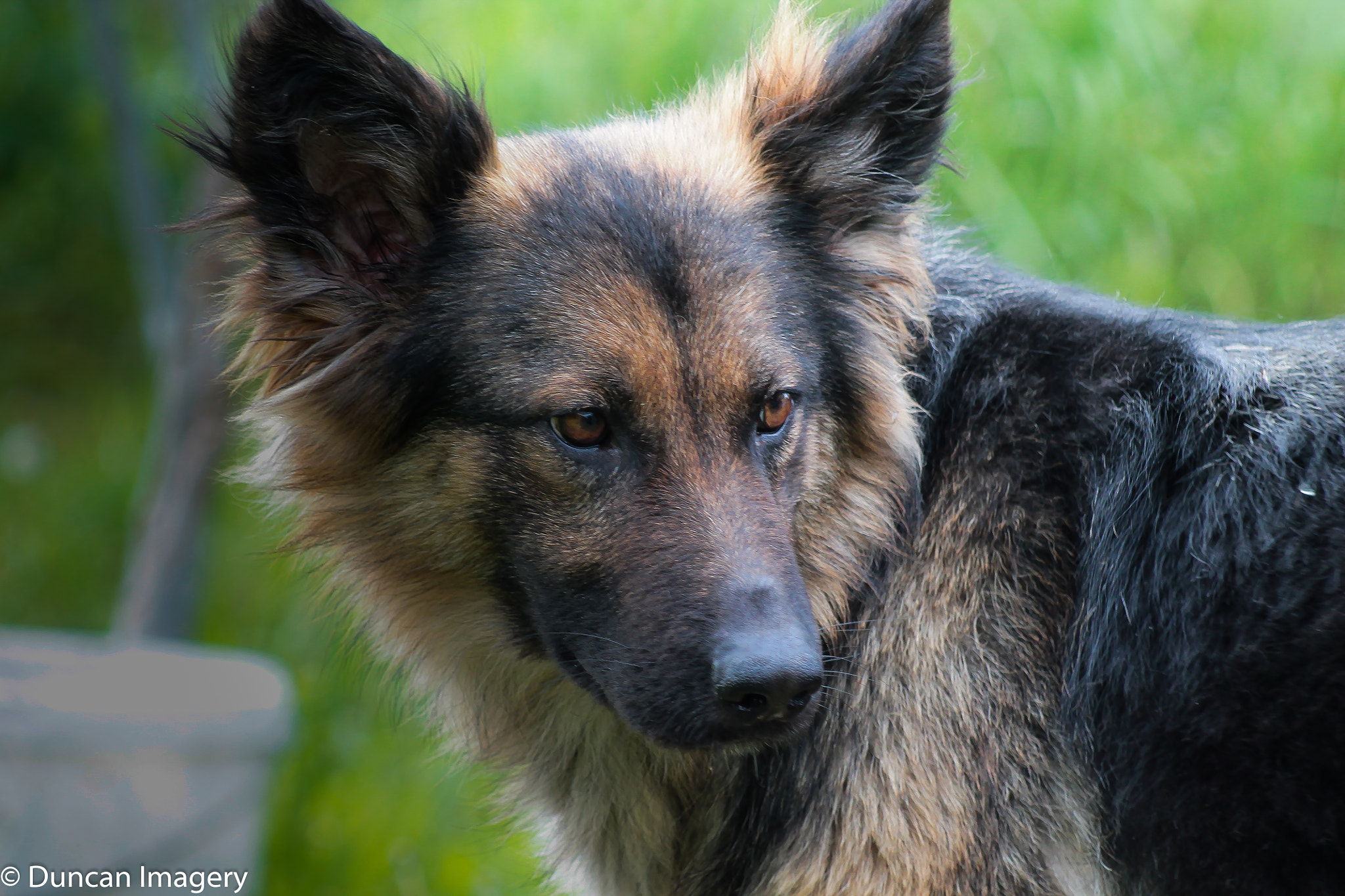 Canon EF 80-200mm F4.5-5.6 II sample photo. Dun_1724.jpg photography