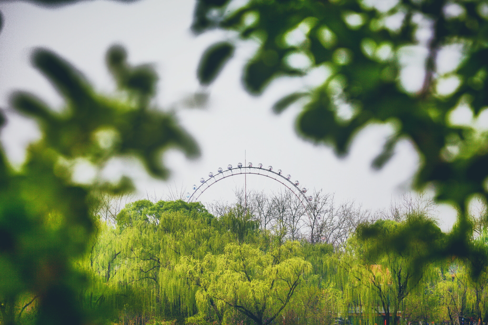 Canon EF 100-400mm F4.5-5.6L IS USM sample photo. 儿时记忆 photography