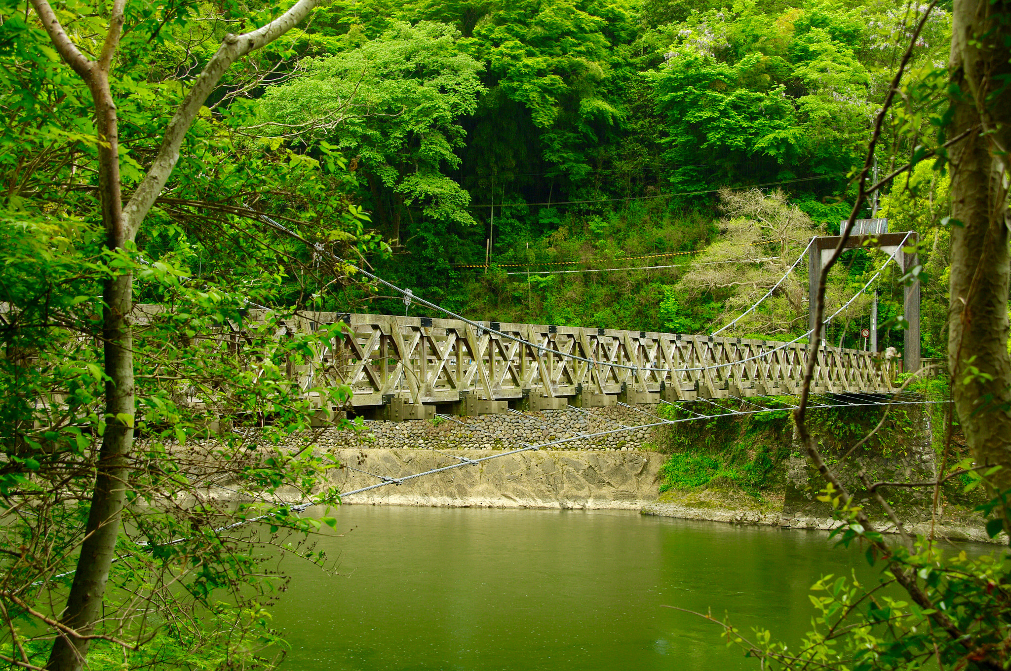 Pentax K20D sample photo. Imgp0699.jpg photography
