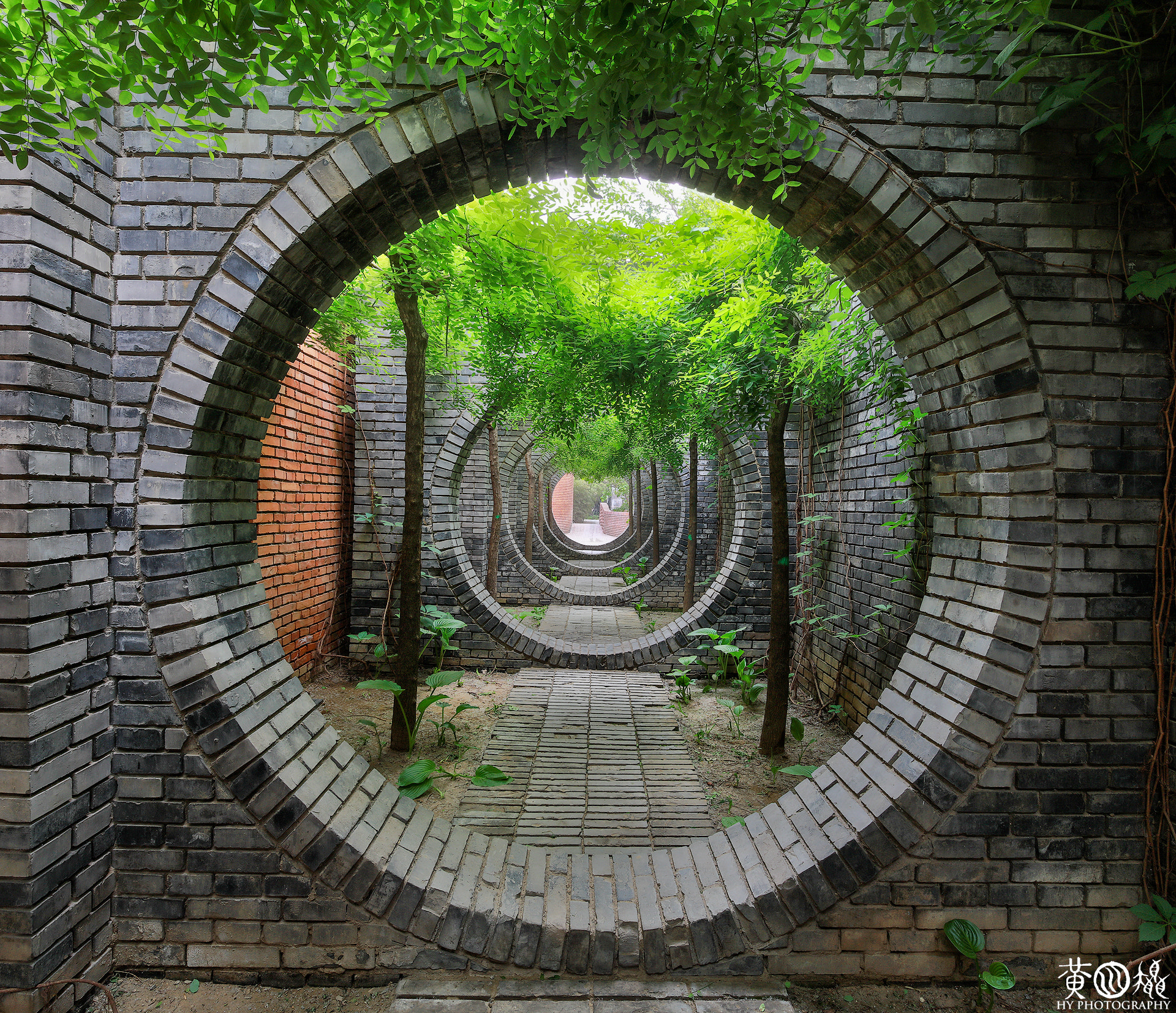 Canon EOS 5DS sample photo. Circle photography