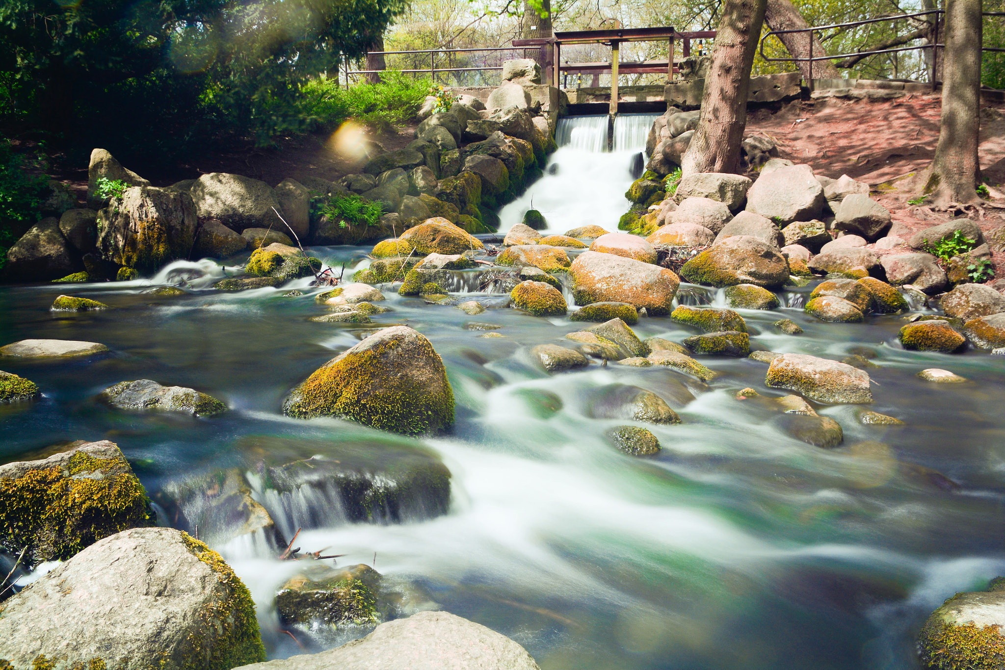 Nikon D5200 + Sigma 17-70mm F2.8-4 DC Macro OS HSM | C sample photo. Poland gdańsk park oliwski photography