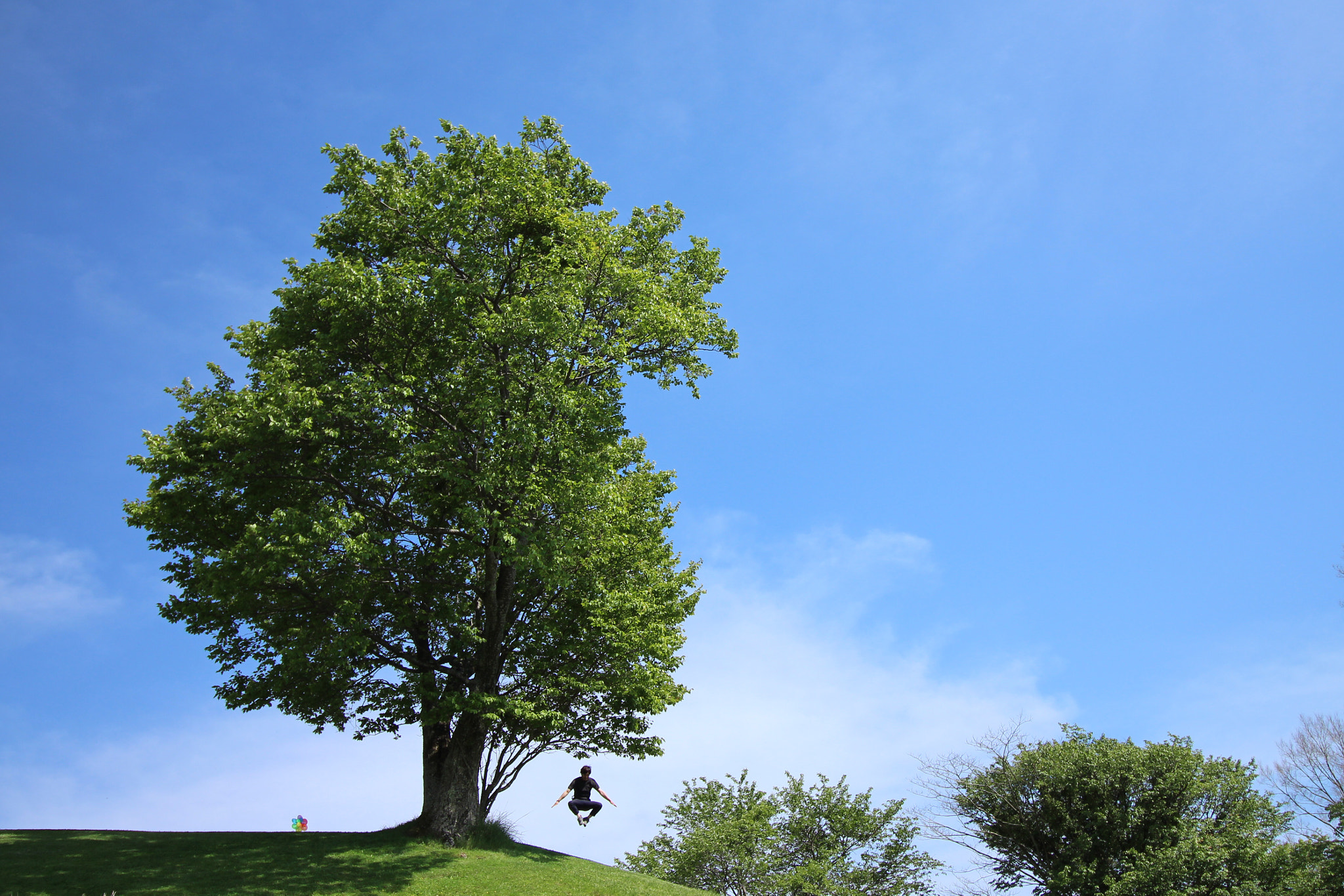 Canon EOS 700D (EOS Rebel T5i / EOS Kiss X7i) sample photo