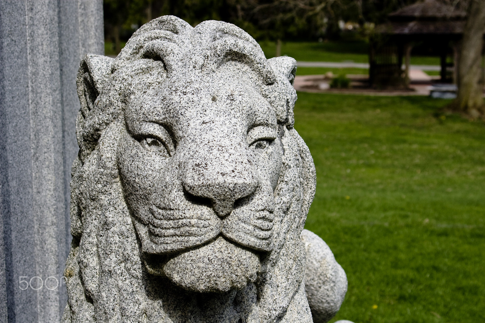 Canon EF 28-105mm f/3.5-4.5 USM sample photo. Stone lion photography