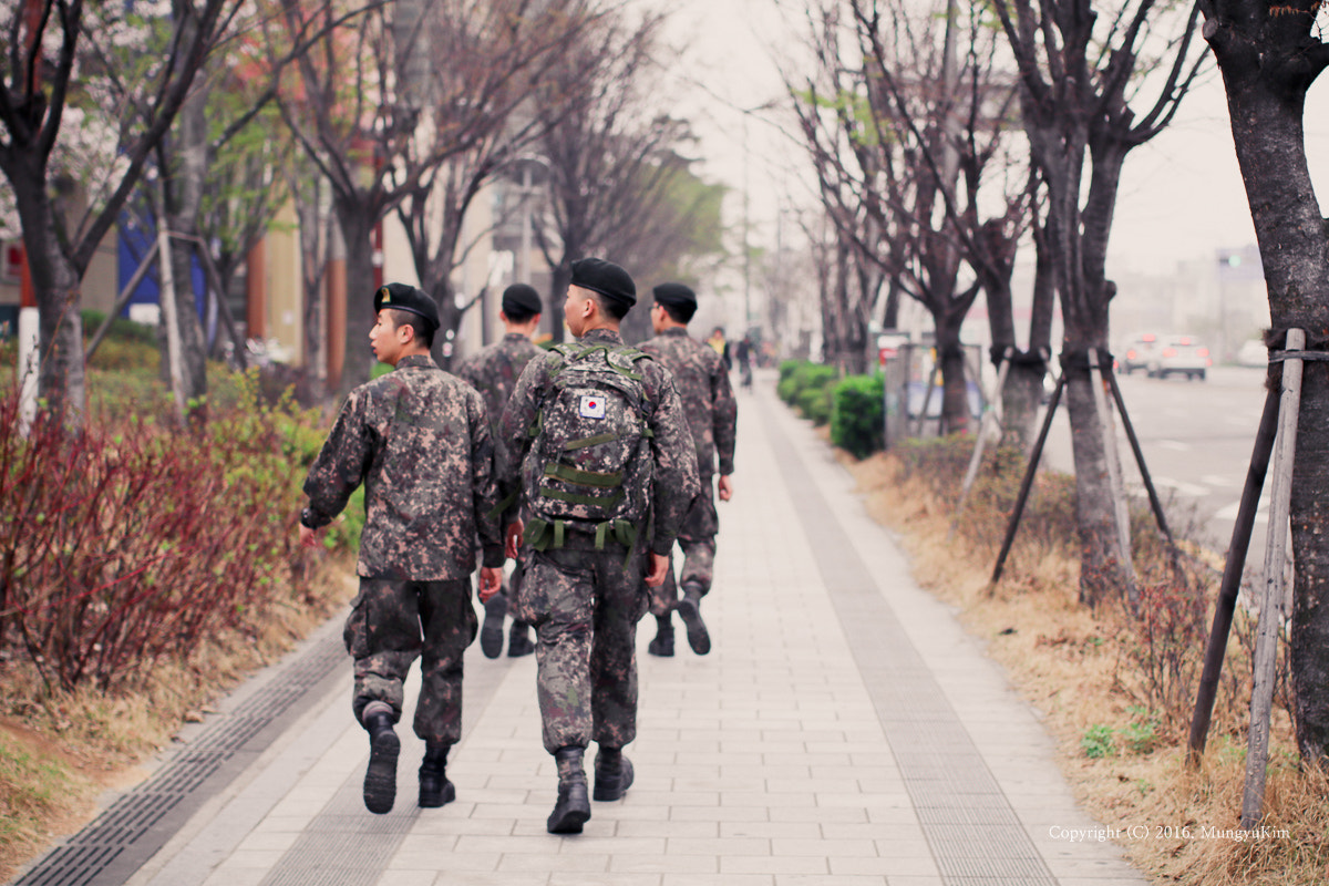 Canon EOS 80D + Canon EF 50mm F1.2L USM sample photo. Soldier in spring. photography