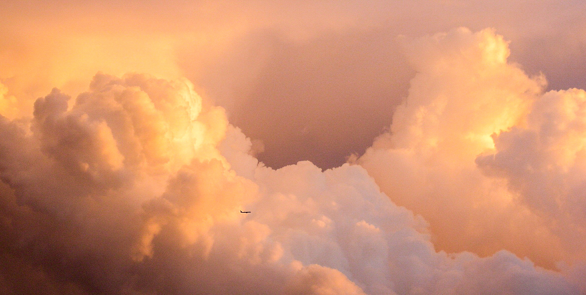Olympus C5050Z sample photo. Airplane photography
