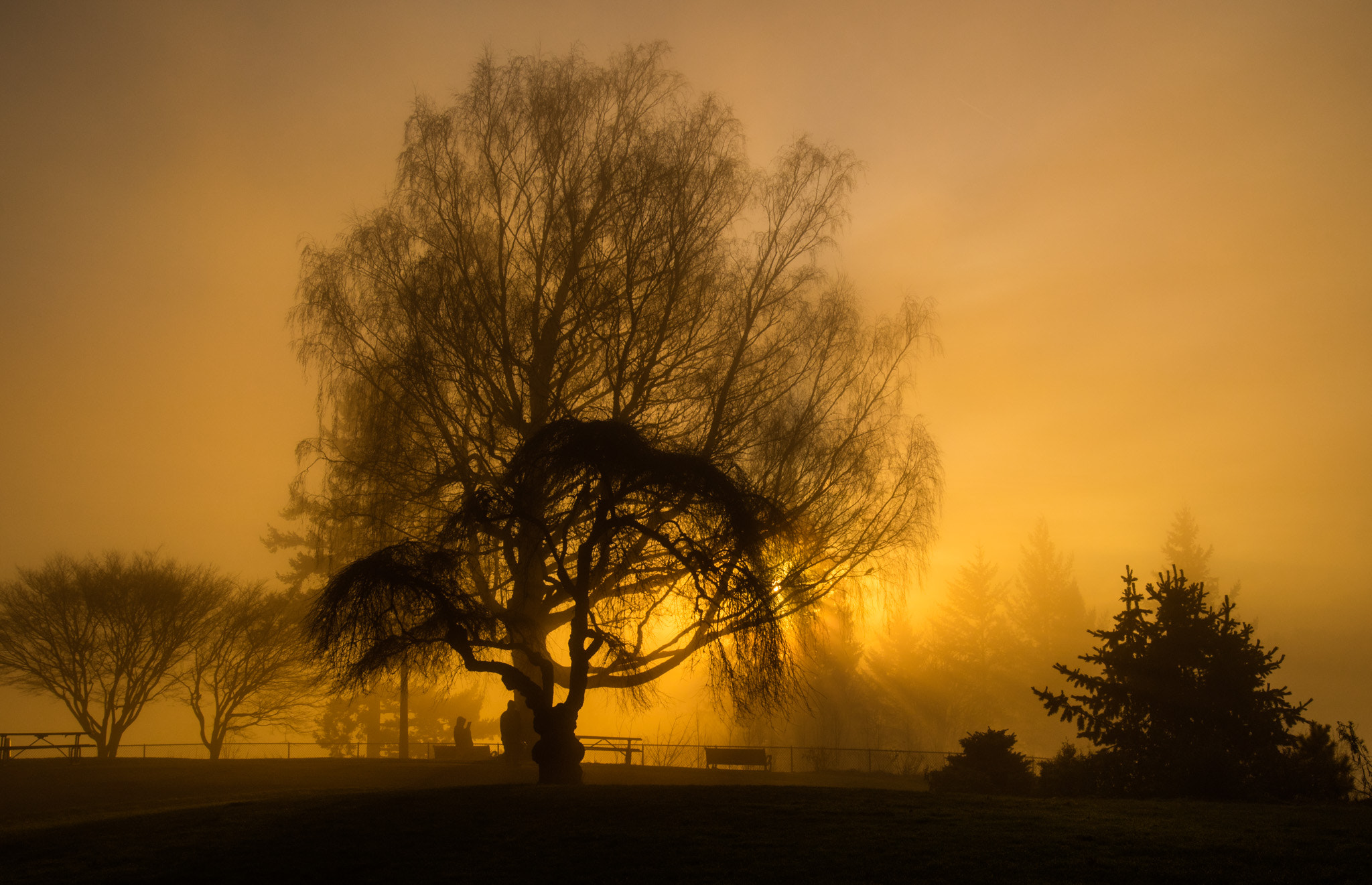 Canon EOS M3 + Canon EF 16-35mm F4L IS USM sample photo. Golden sunrise photography