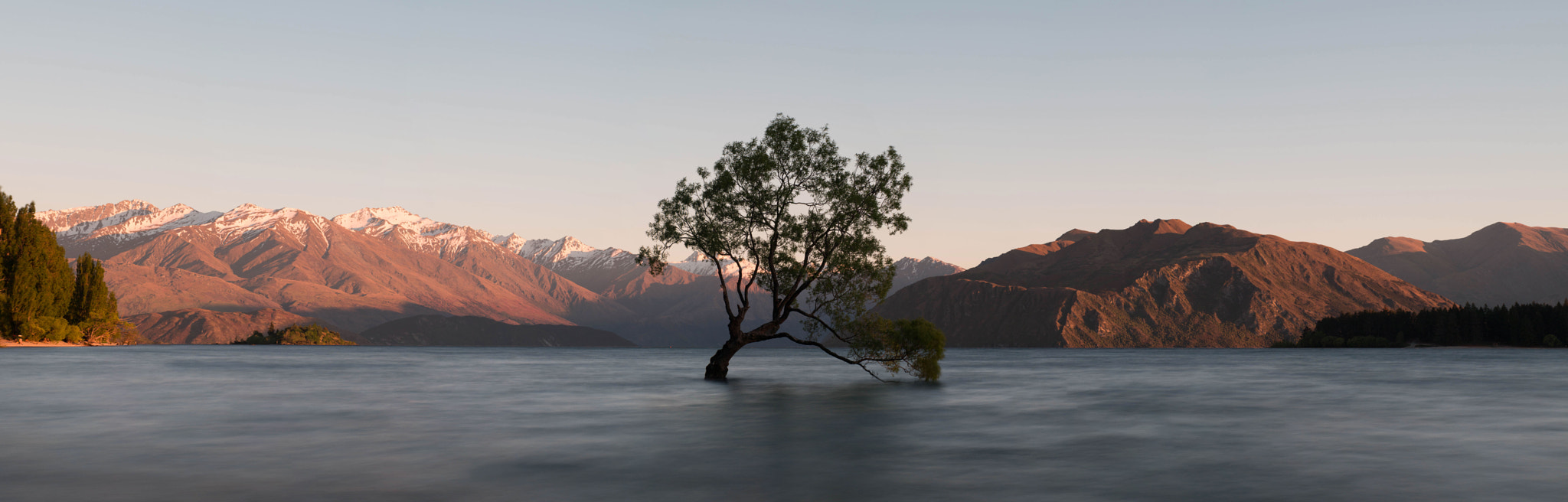 Sigma 70mm F2.8 EX DG Macro sample photo. Wanaka tree photography