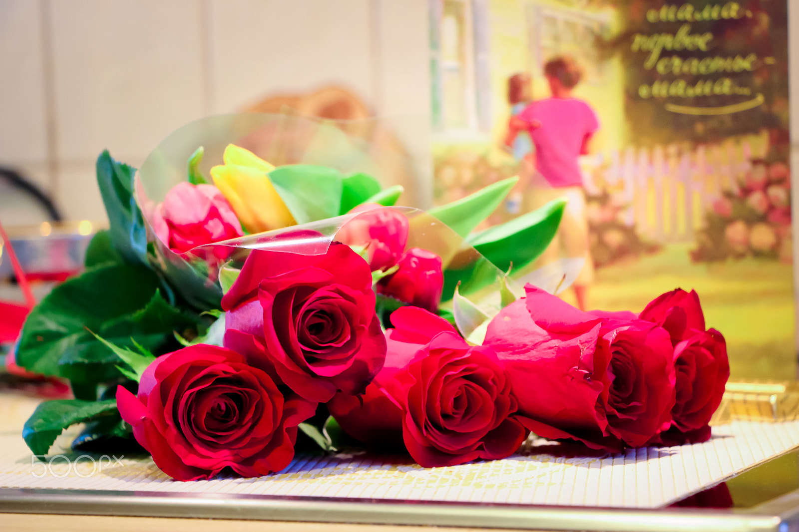 Canon EF-S 18-135mm F3.5-5.6 IS STM sample photo. Flower rose cute photography