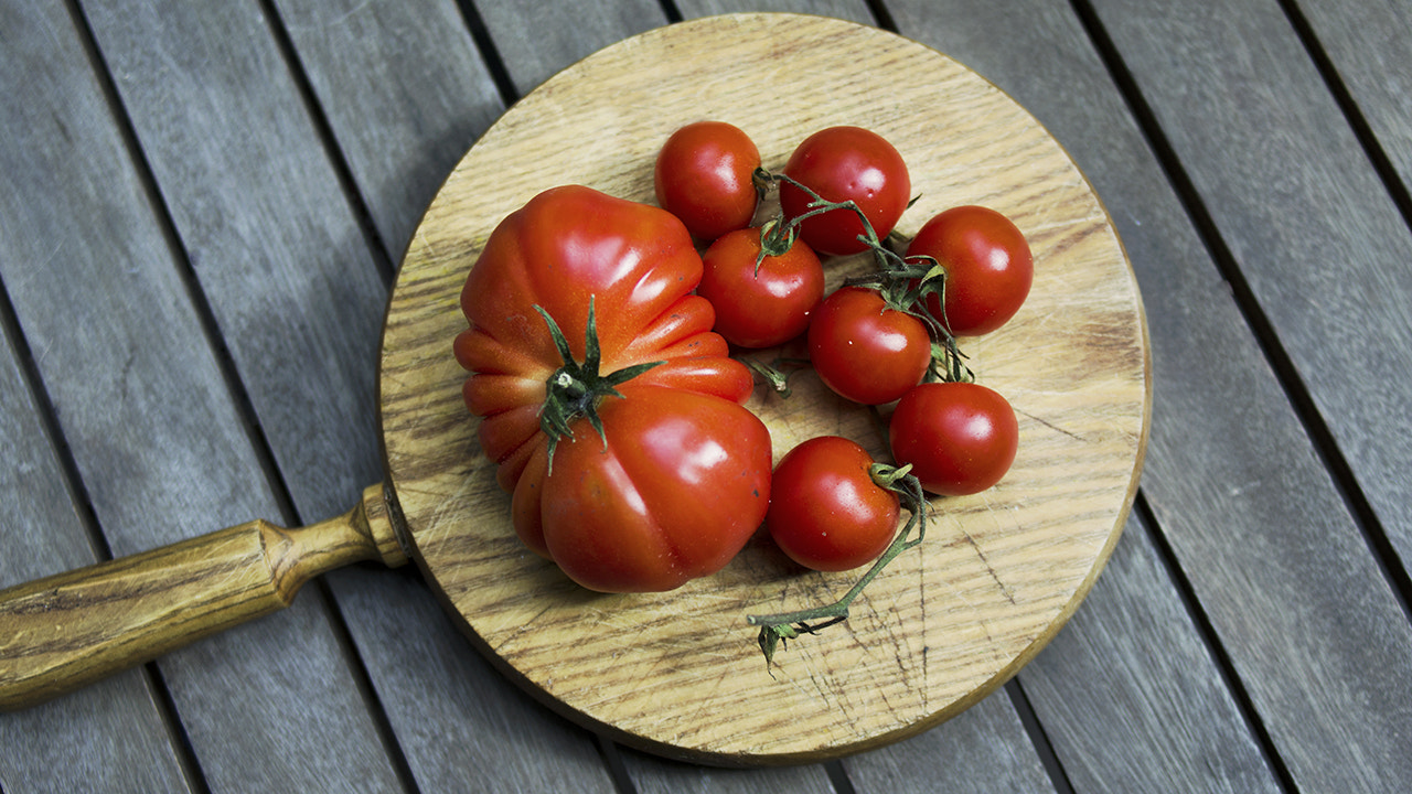 Pentax smc FA 31mm F1.8 AL Limited sample photo. Tomato photography