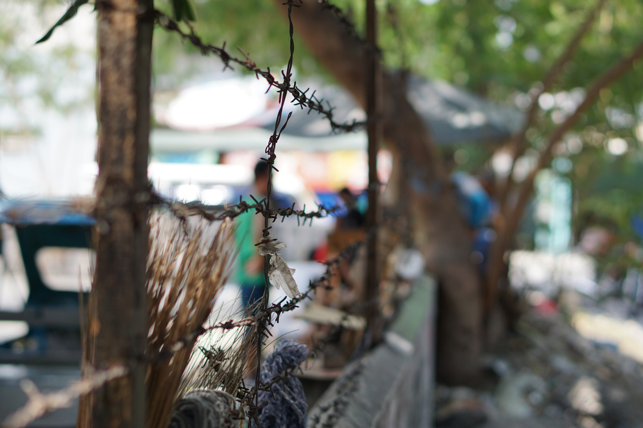 Sony a6000 + Sony Sonnar T* FE 55mm F1.8 ZA sample photo. Wire fence photography