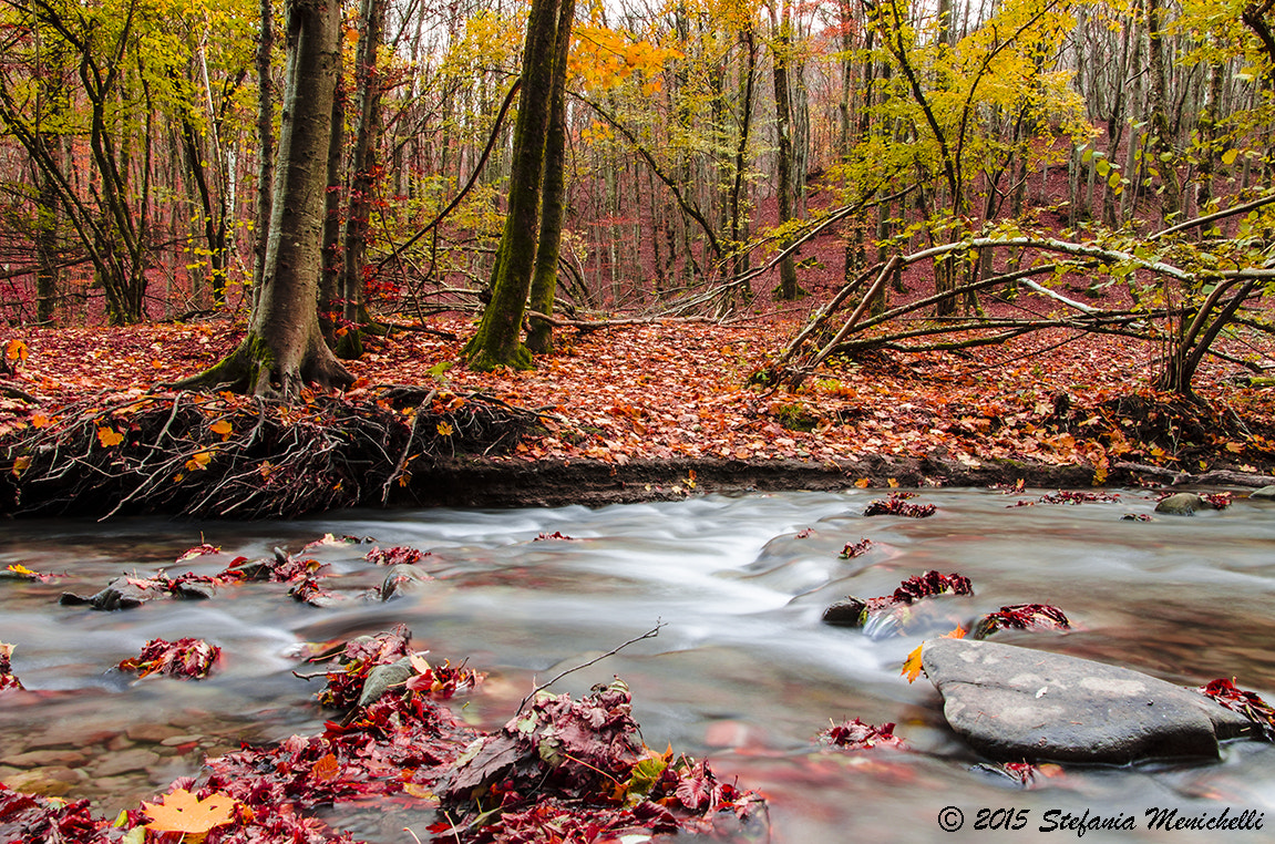 Nikon D5100 + Sigma 17-70mm F2.8-4 DC Macro OS HSM | C sample photo. Il tempo scorre photography