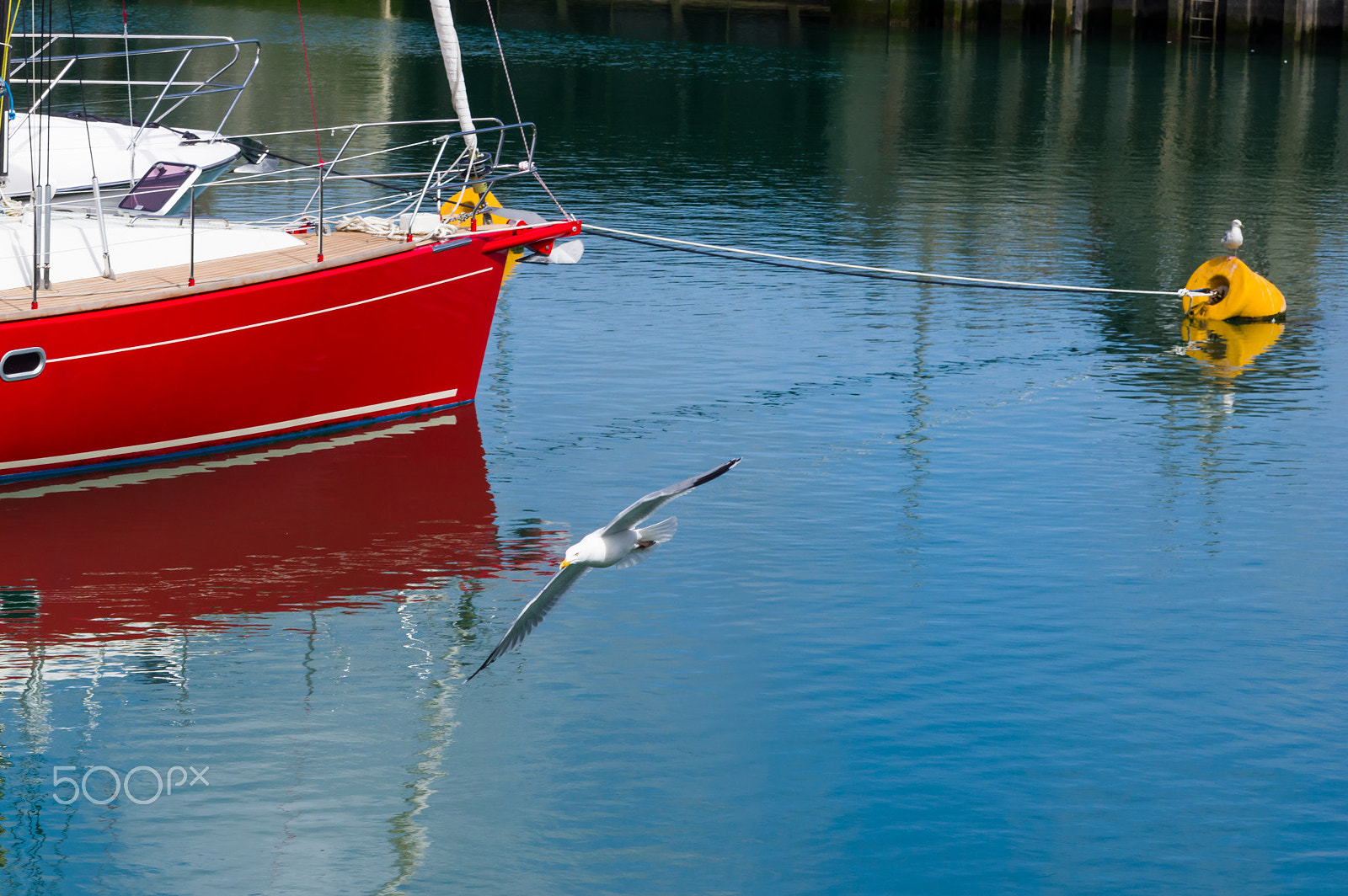 Tamron AF 28-75mm F2.8 XR Di LD Aspherical (IF) sample photo. Boats and gulls photography