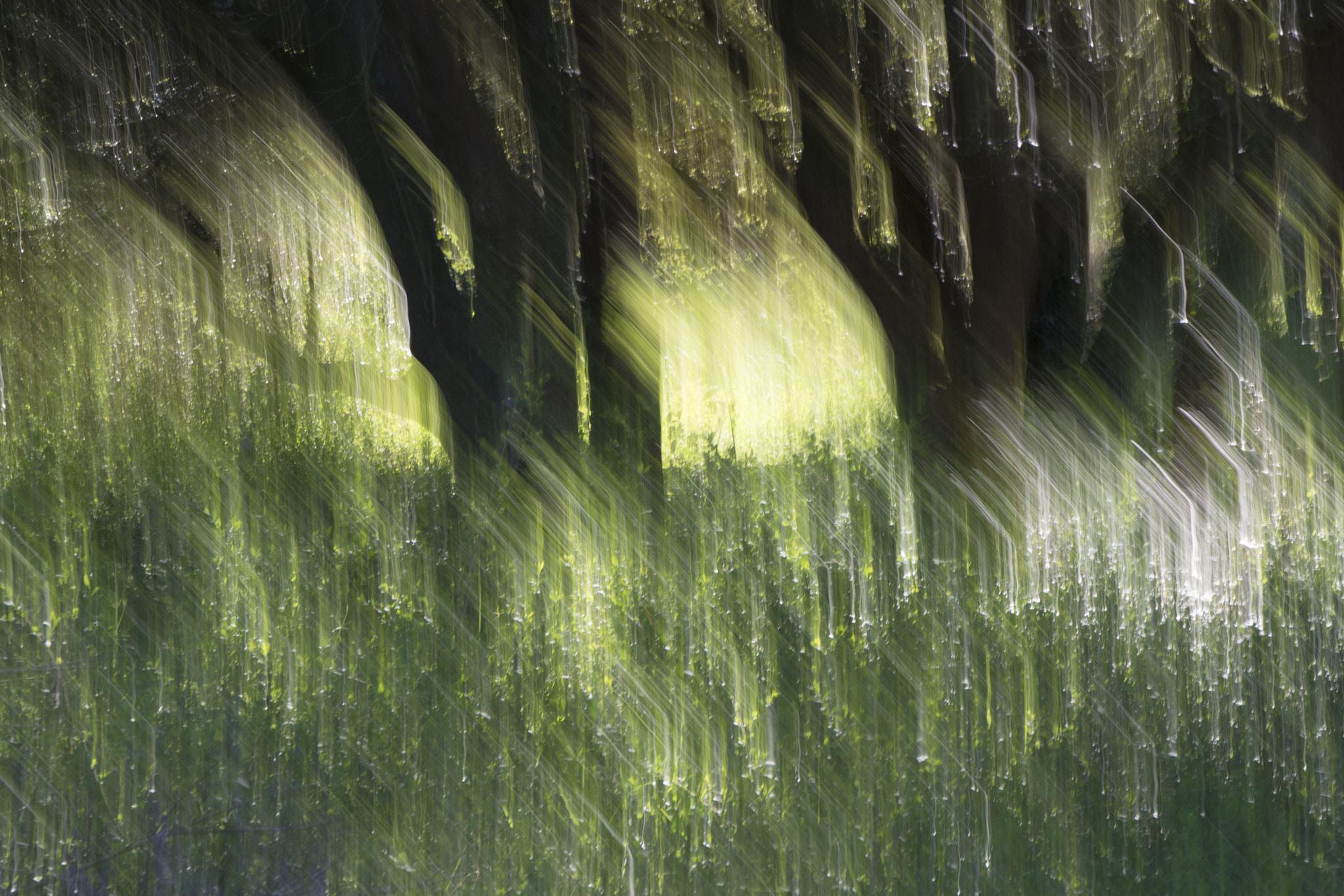 Sigma 17-70mm F2.8-4 DC Macro OS HSM | C sample photo. Mouvement photography