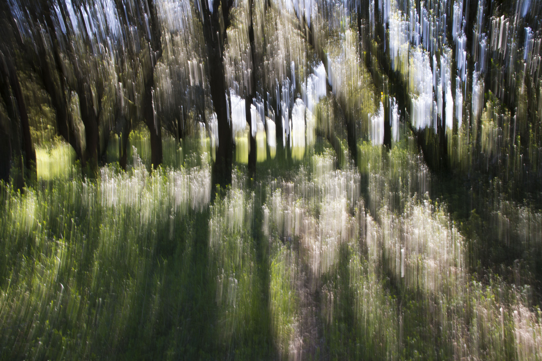 Sigma 17-70mm F2.8-4 DC Macro OS HSM | C sample photo. Mouvement ii photography