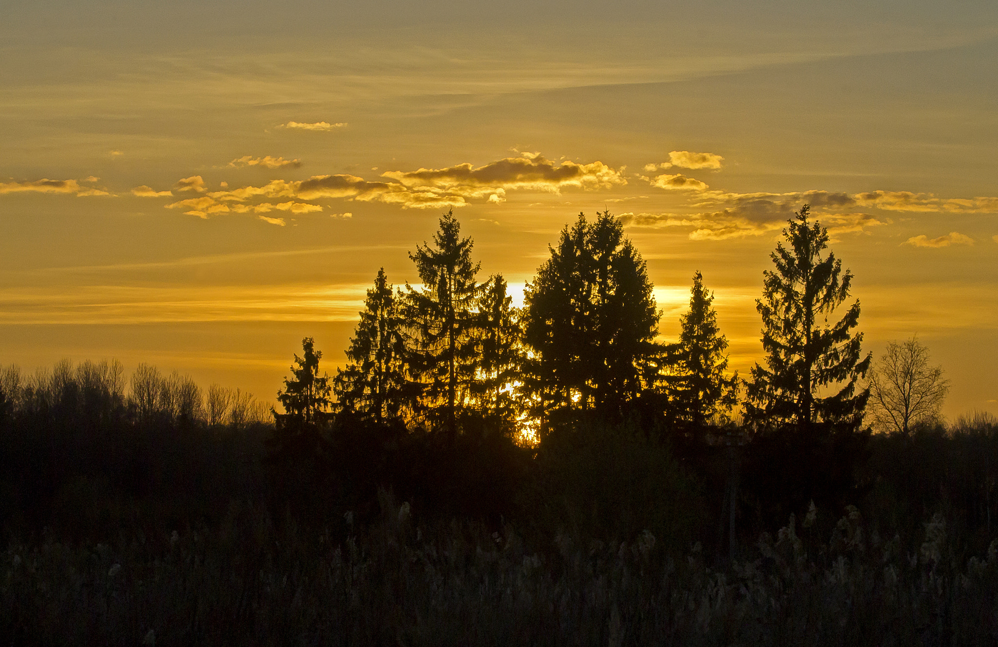 Canon EOS 1100D (EOS Rebel T3 / EOS Kiss X50) + Canon EF 100-400mm F4.5-5.6L IS USM sample photo. Sunset in latvia... photography