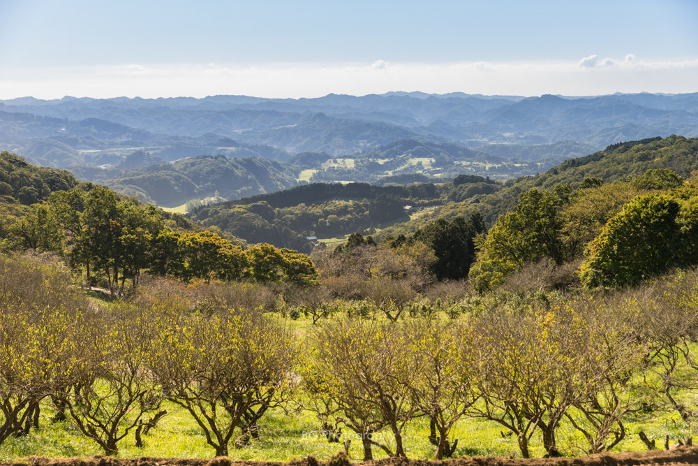 Canon EF 85mm F1.2L II USM sample photo. Landscape. photography