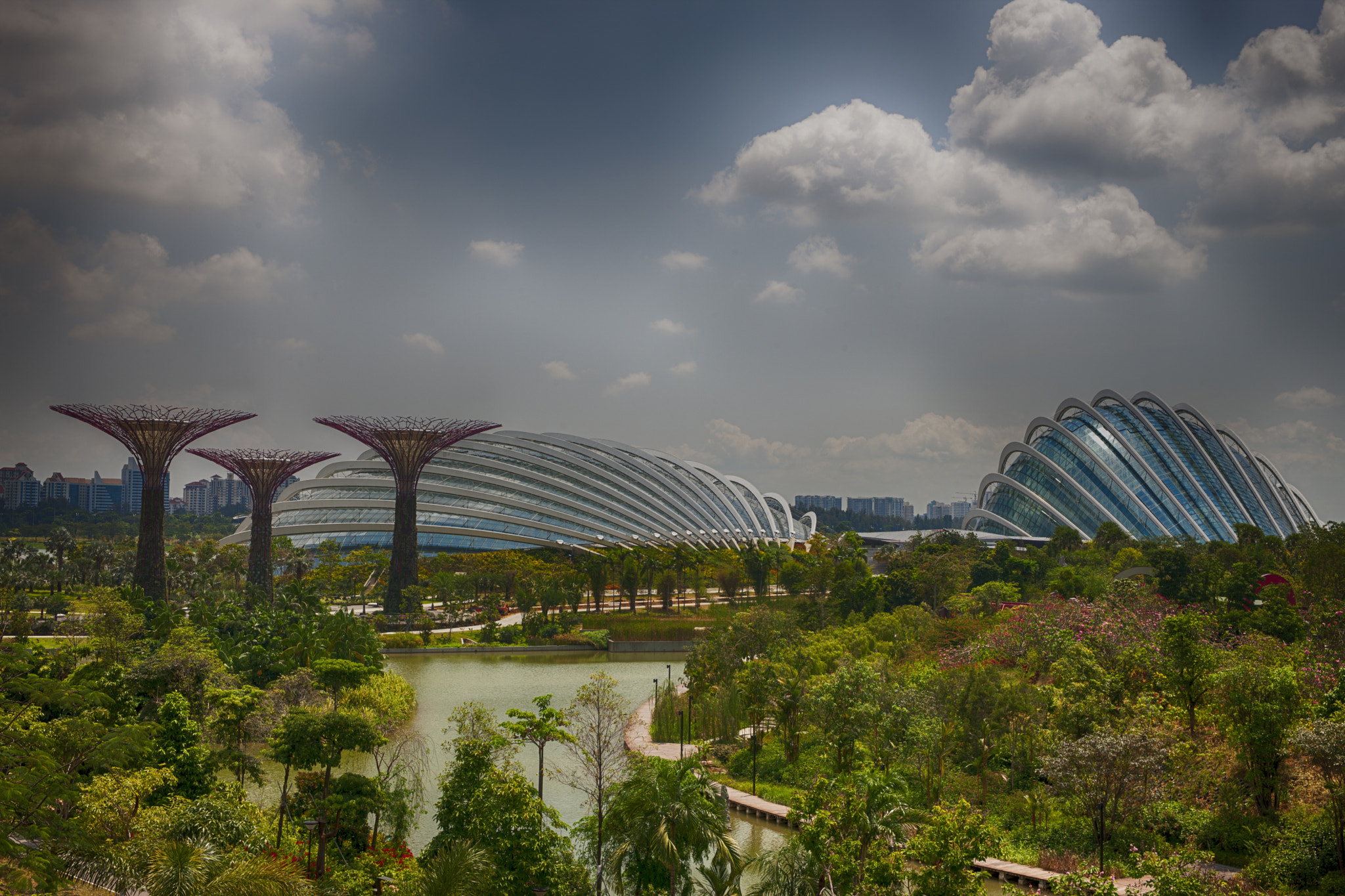 Canon EOS-1Ds Mark III + Sigma 24-70mm F2.8 EX DG Macro sample photo. Gardens by the bay photography