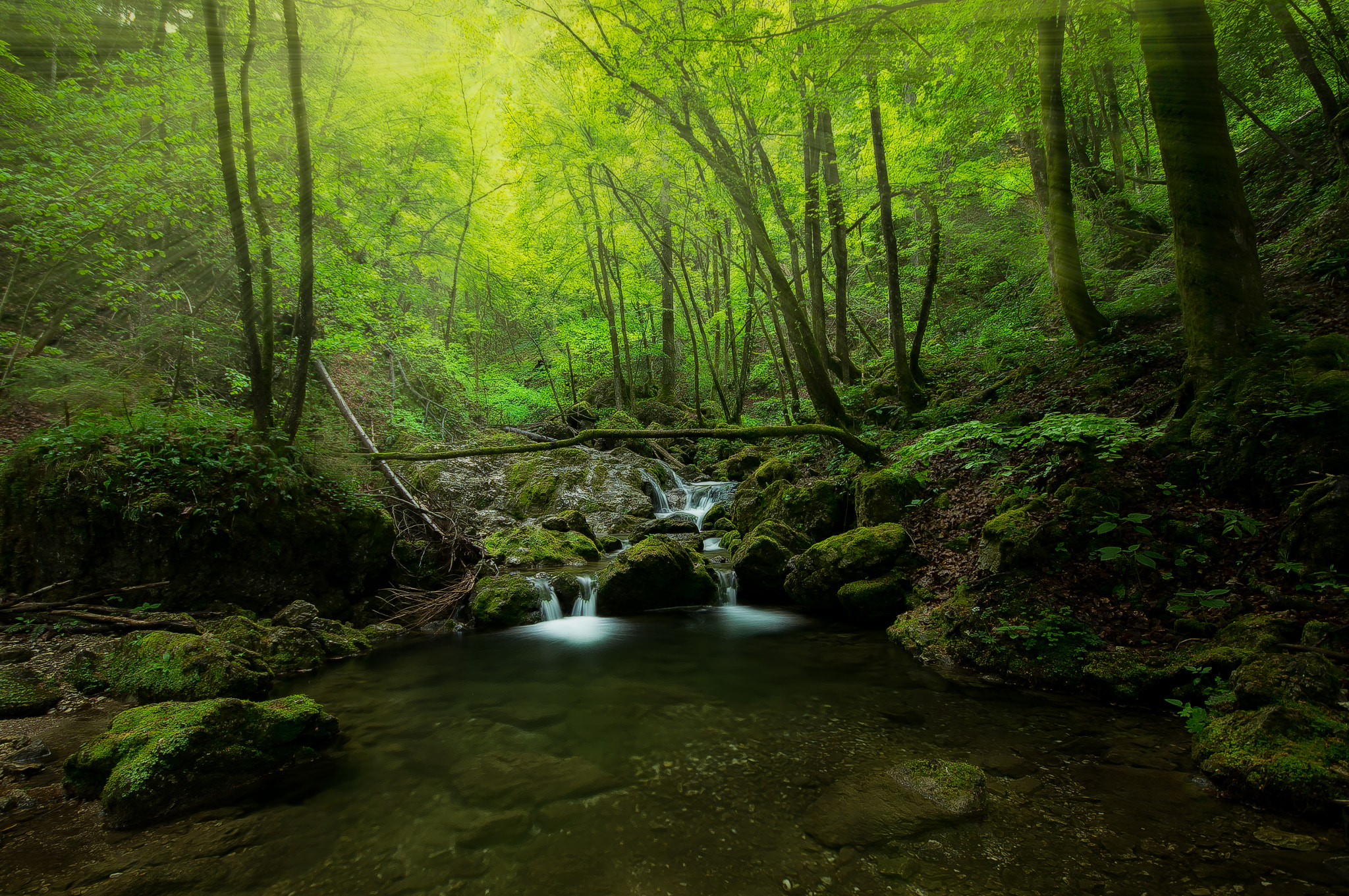 Sigma AF 10-20mm F4-5.6 EX DC sample photo. Peaceful nature photography