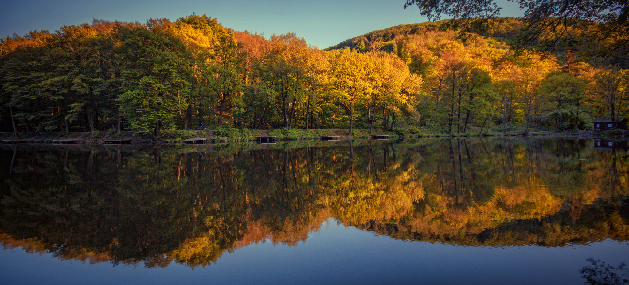 Sigma AF 10-20mm F4-5.6 EX DC sample photo. Spring reflections photography