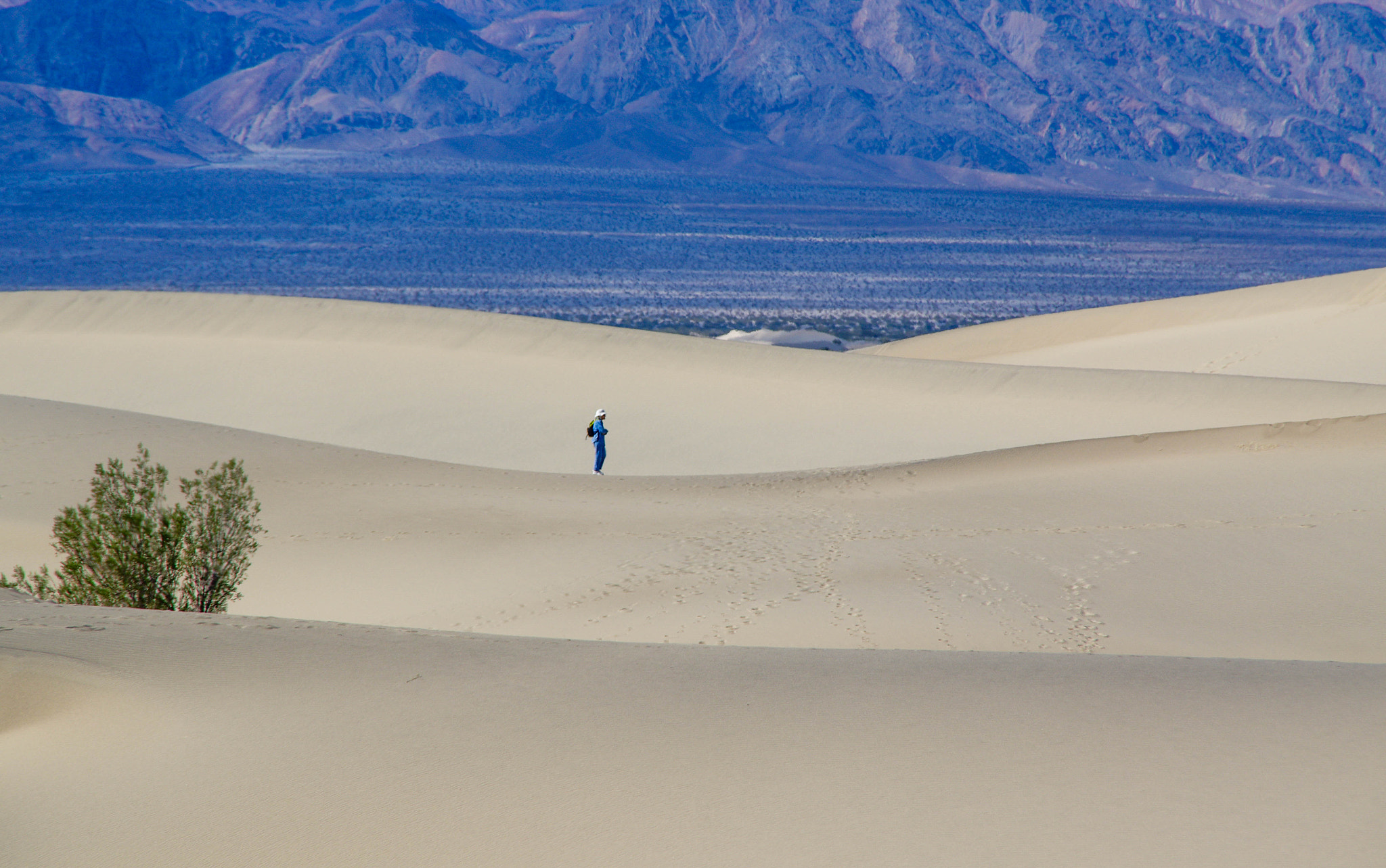 Tamron AF 18-200mm F3.5-6.3 XR Di II LD Aspherical (IF) Macro sample photo. Mesquite flat sand dunes photography