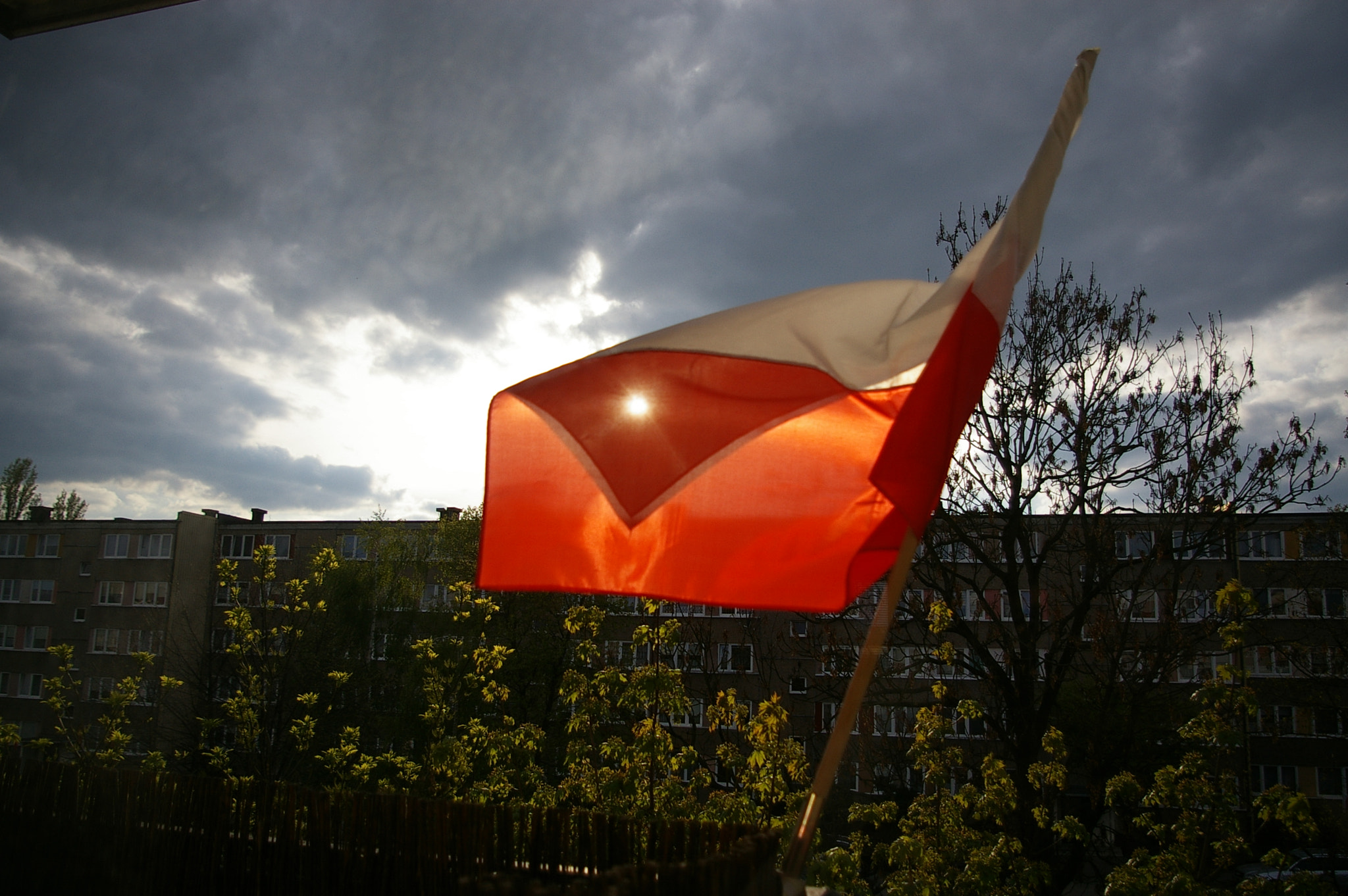 Pentax *ist DL2 sample photo. National polish flag day photography