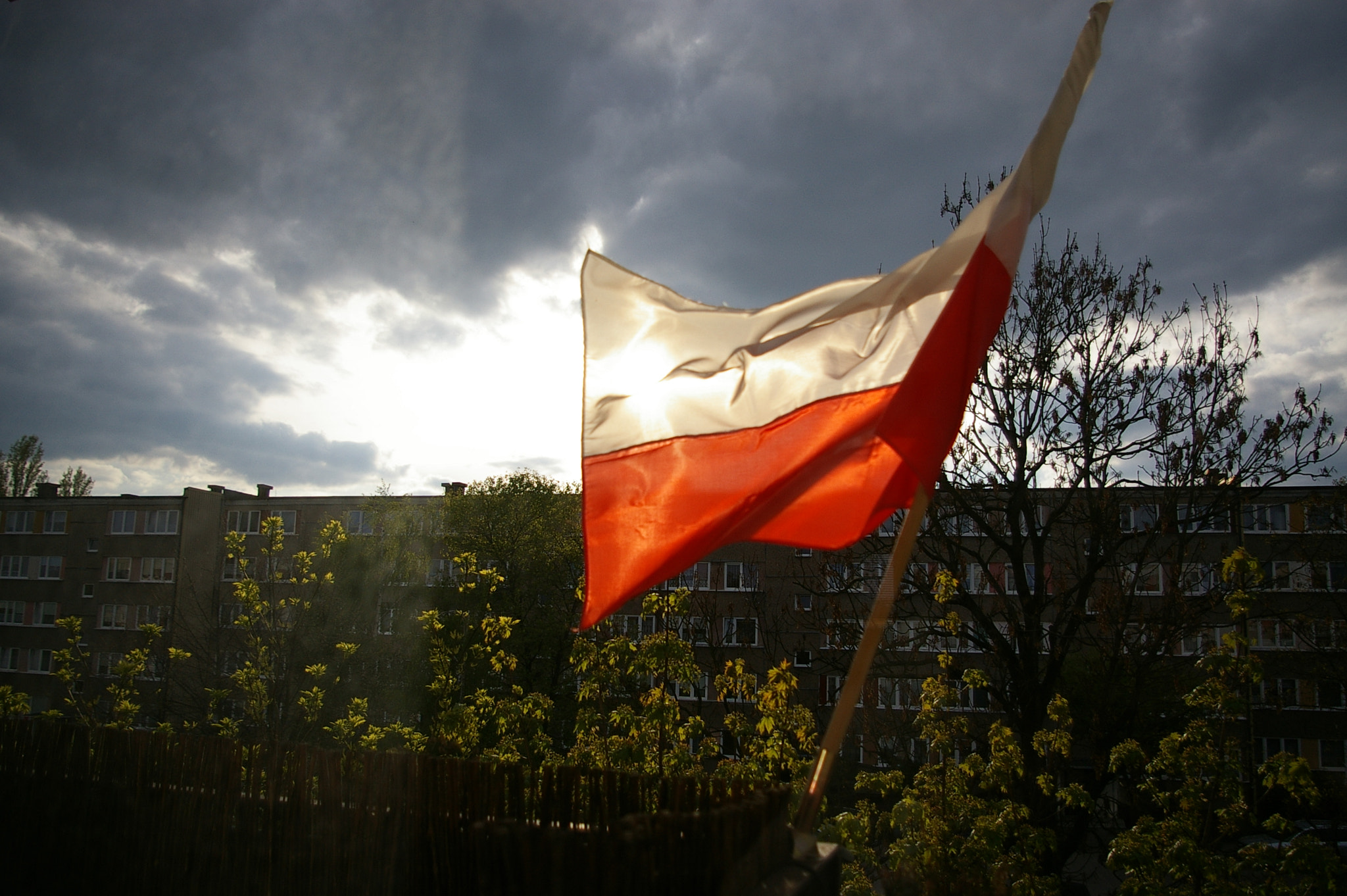 Pentax *ist DL2 sample photo. National polish flag day photography