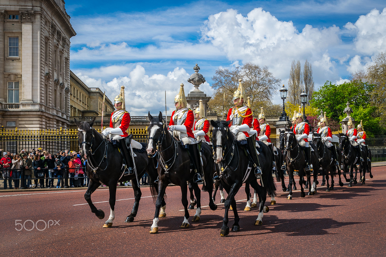 Tamron SP 24-70mm F2.8 Di VC USD sample photo. Horse guard photography