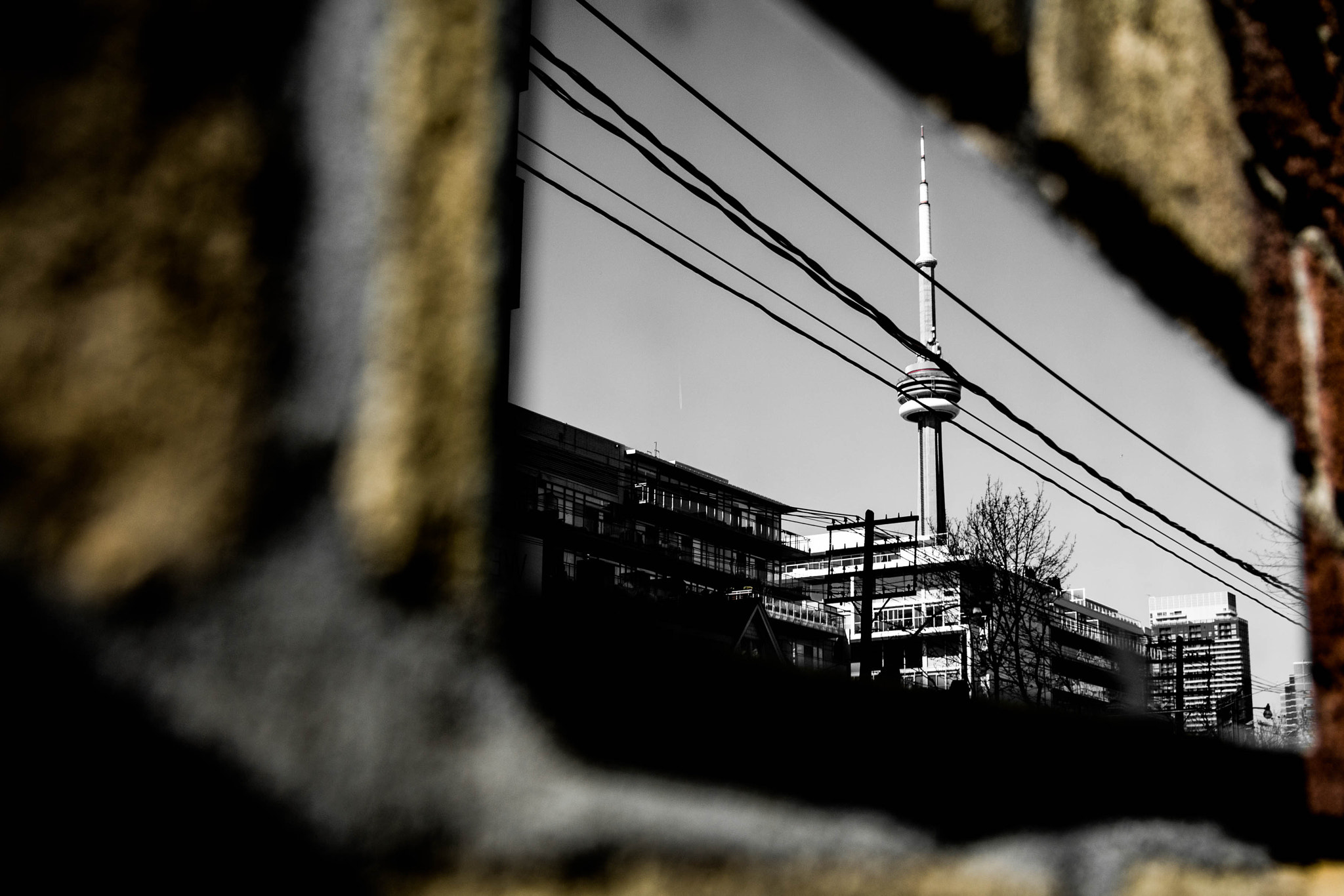 "Space Travel and Exploration"