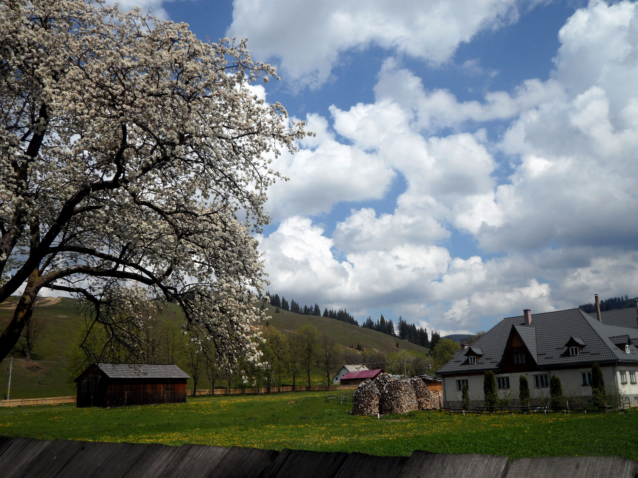 Samsung VLUU WB210, SAMSUNG WB210 sample photo. 1.05.2015 photography