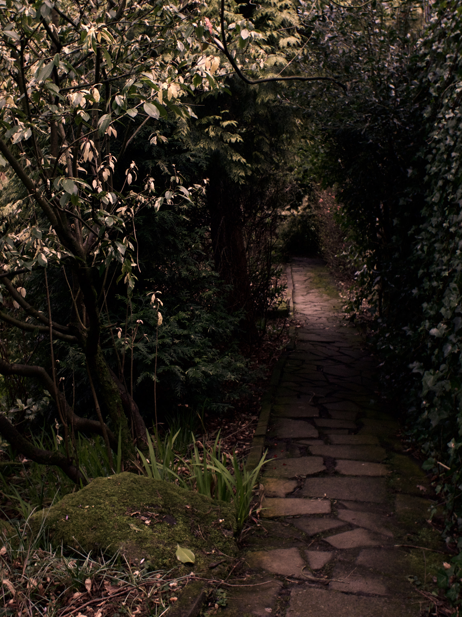Sony Alpha NEX-3N + Sony E 16mm F2.8 sample photo. Path (to unknown) photography