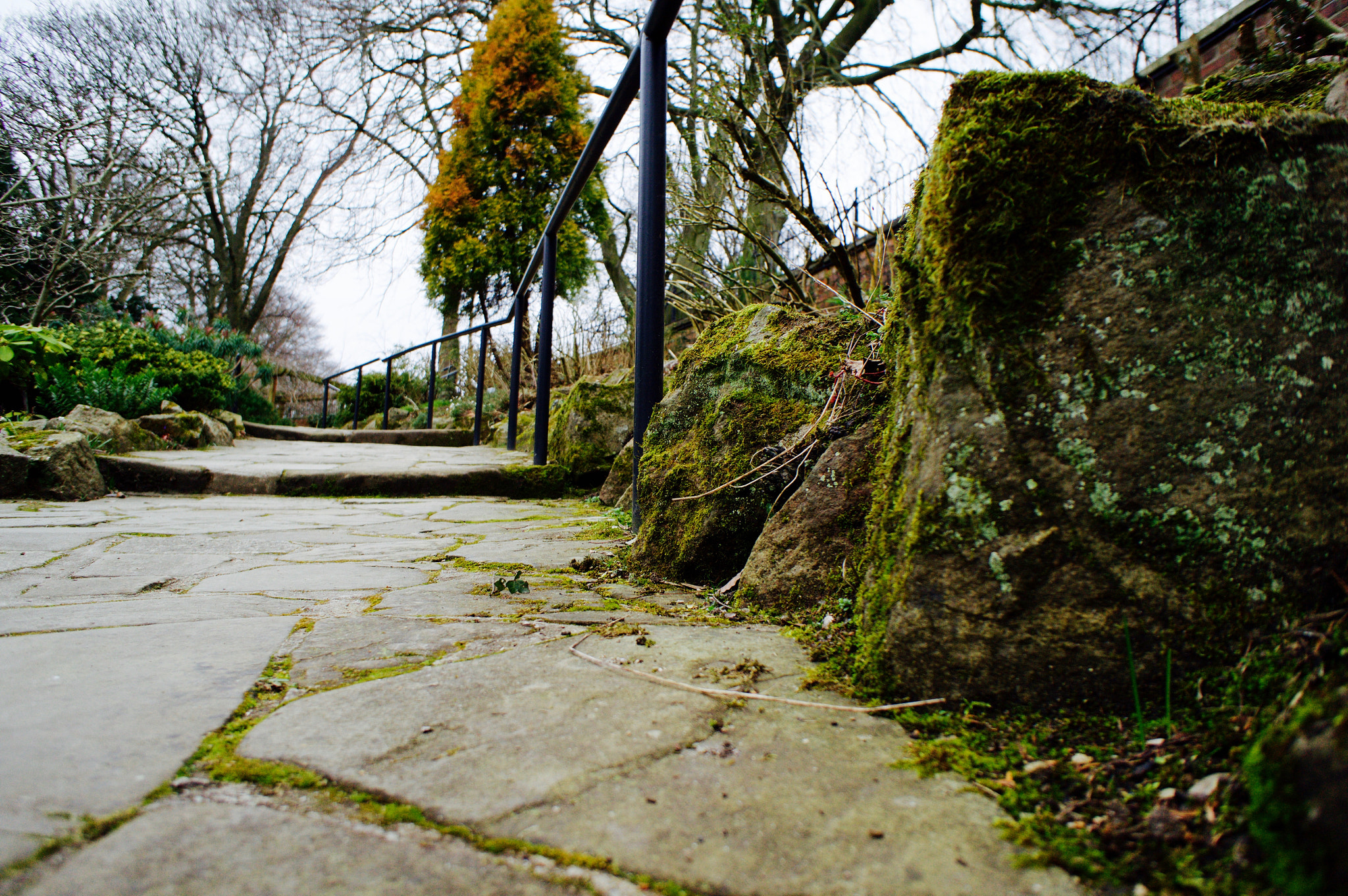 Sony Alpha NEX-3N + Sony E 16mm F2.8 sample photo. Overgrown path i photography