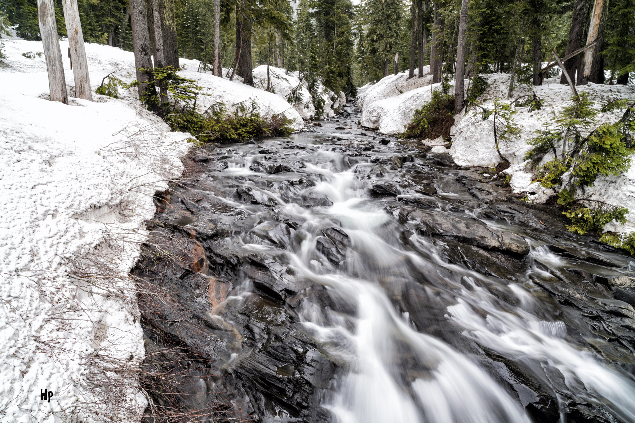 Nikon D5 sample photo. Creek on paradise road photography