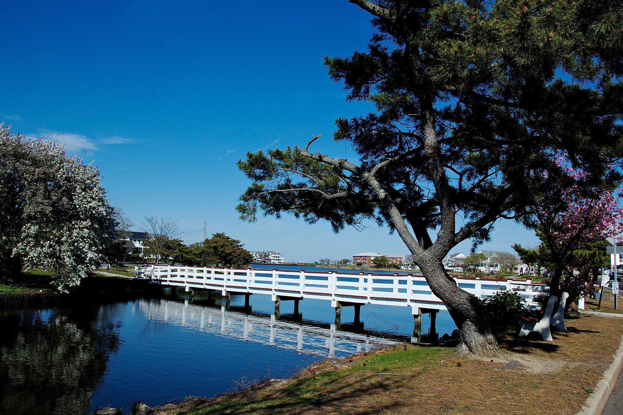 Canon EOS 60D + Sigma 17-50mm f/2.8 OS HSM sample photo. Bridge to ocean grove, nj photography