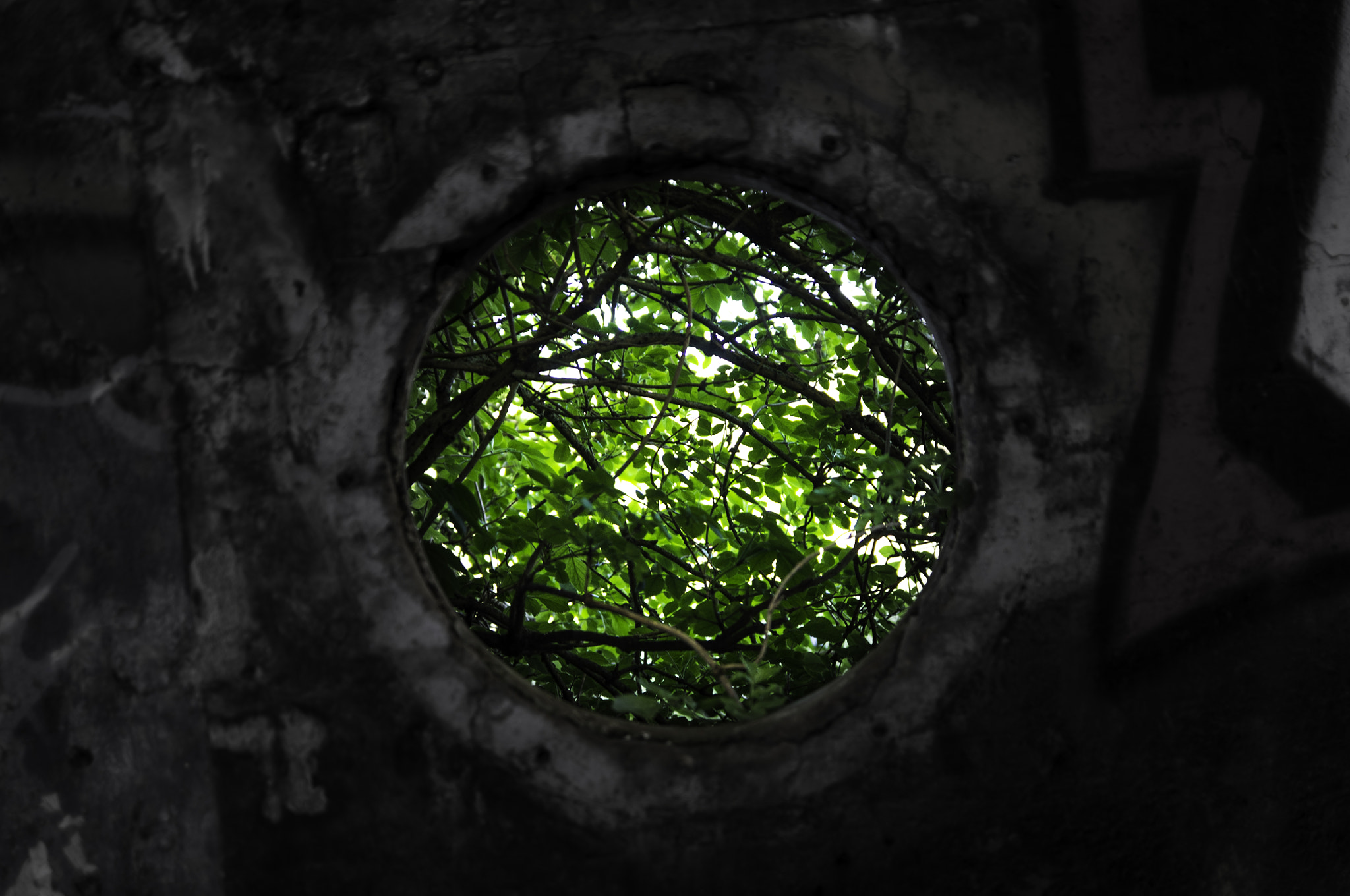 Pentax K-r sample photo. Ouverture vers la nature photography